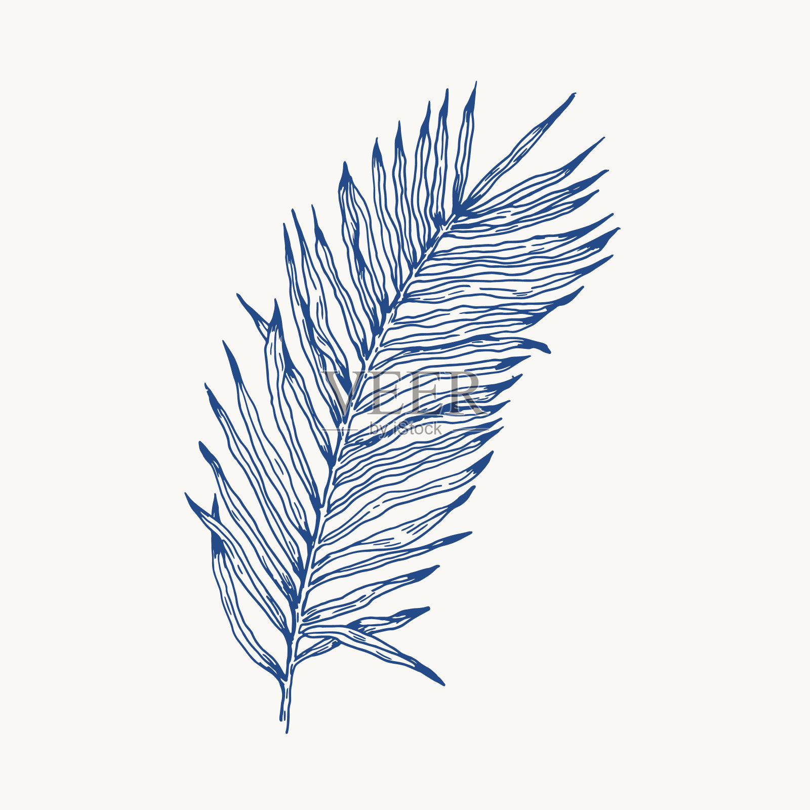 棕榈叶手绘复古雕刻夹艺术孤立的白色背景。设计元素图片