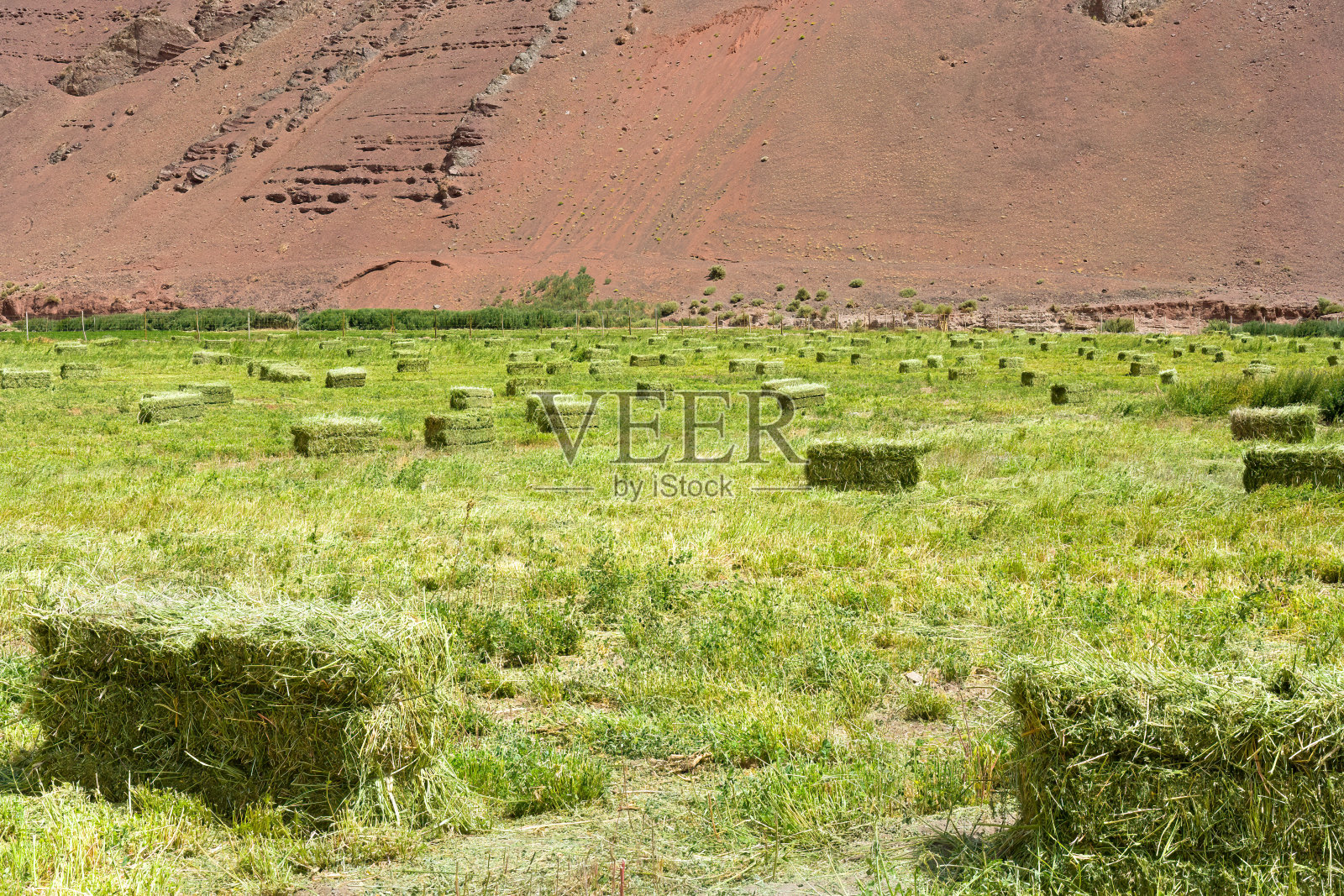 稻草包照片摄影图片