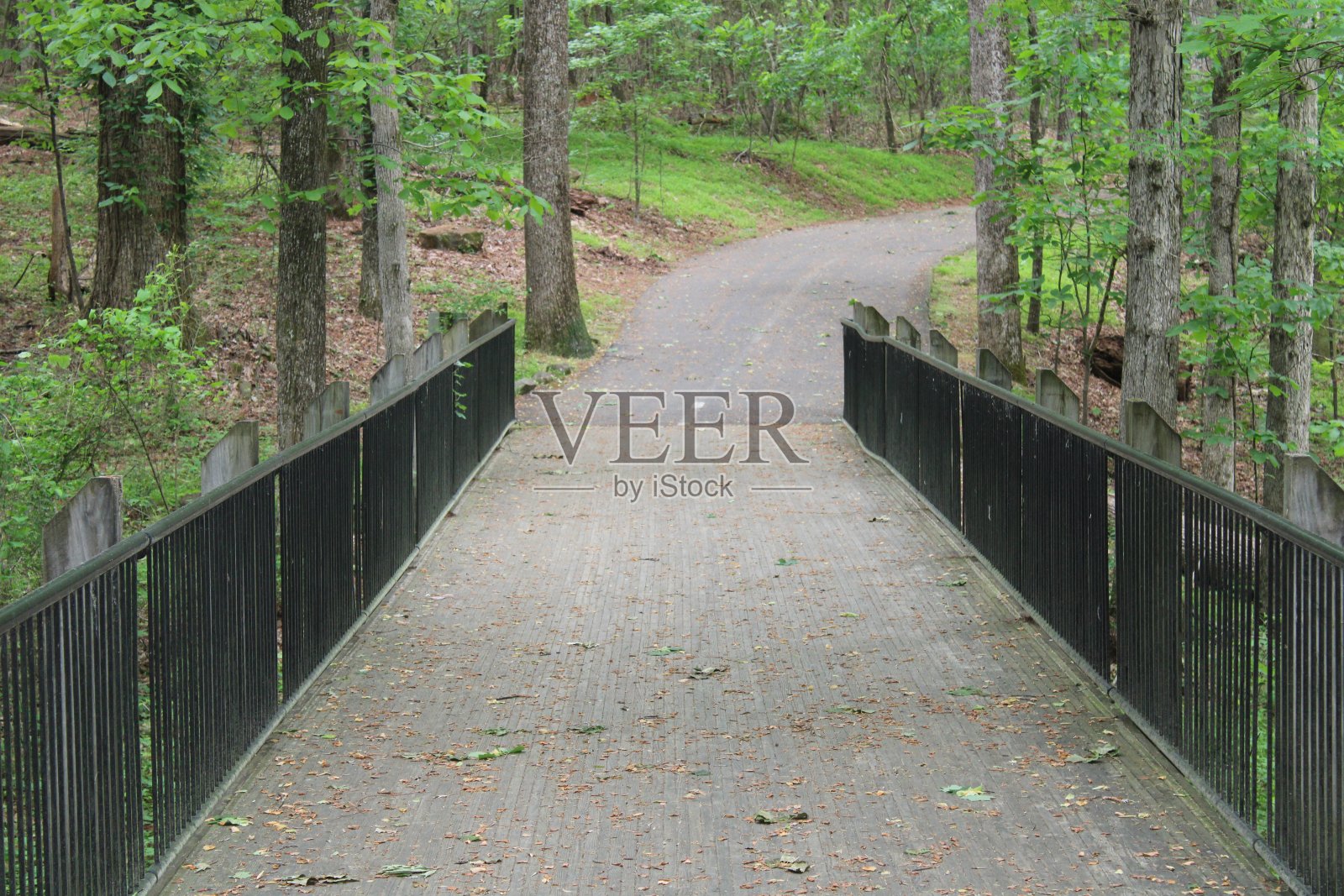 公园的风景照片摄影图片