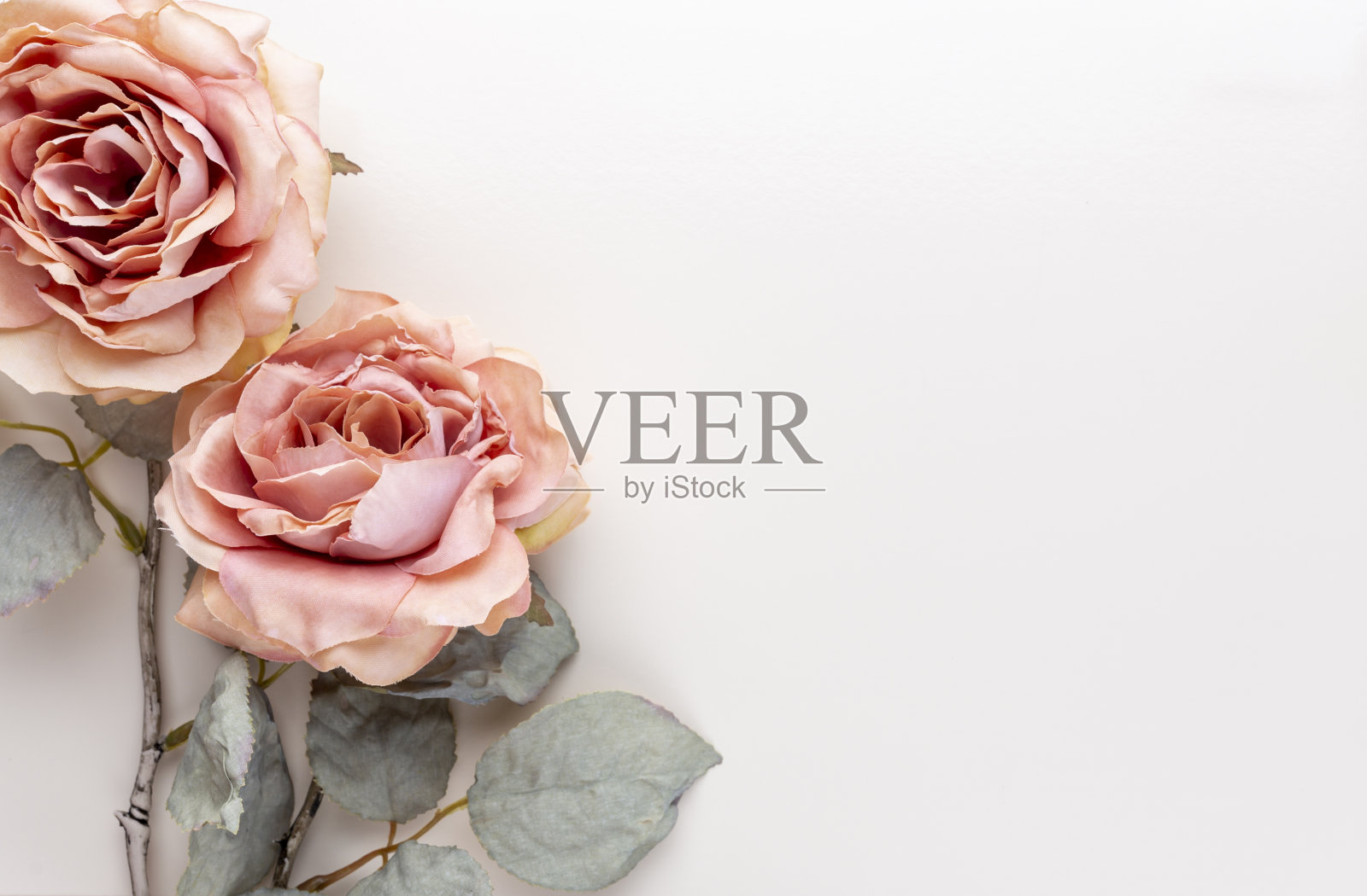 花组成。粉红色玫瑰的花束,色彩柔和。Flatlay。照片摄影图片