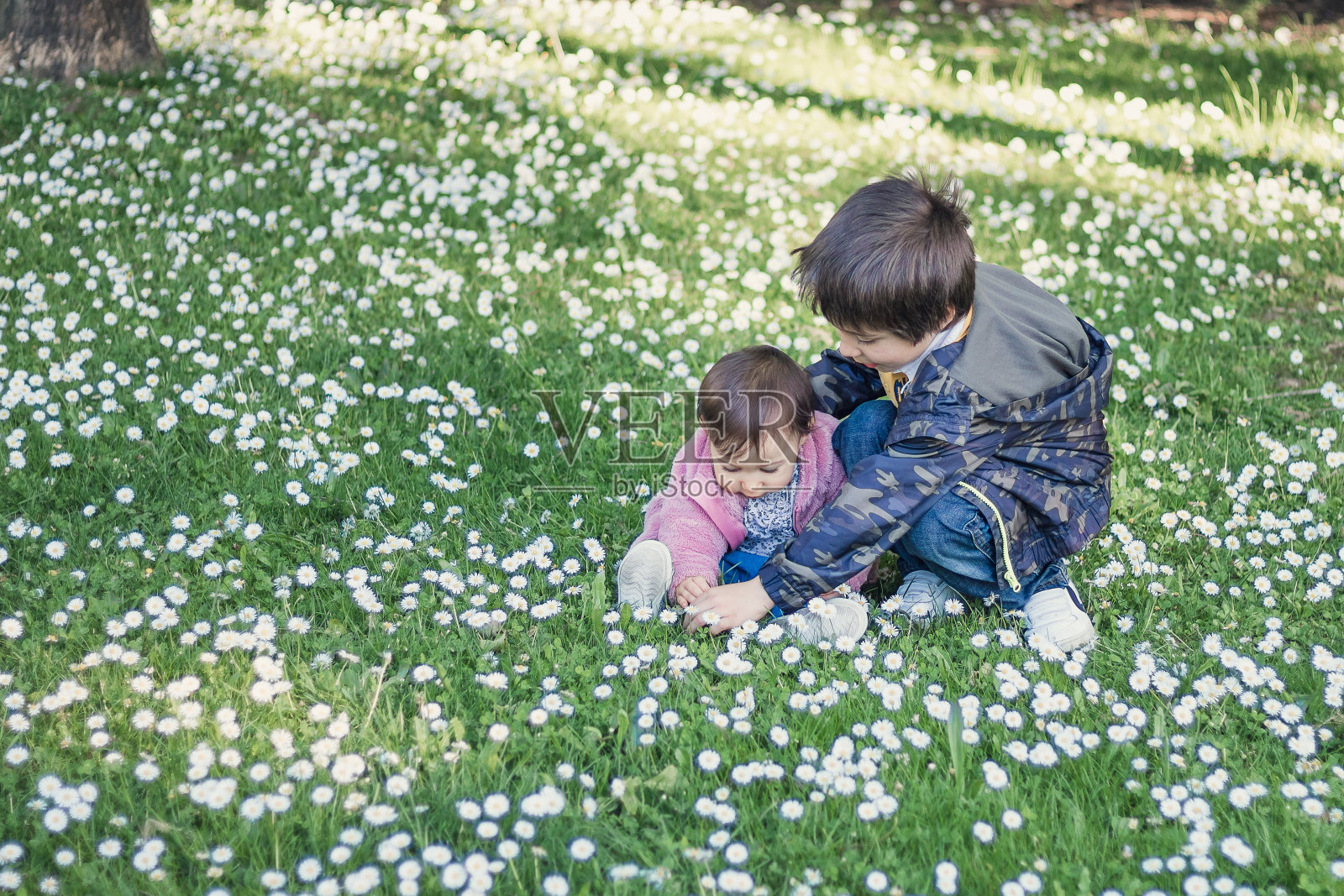男孩和女孩在一起玩耍,探索大自然,都坐在一个满是鲜花的公园的地上。快乐童年,友谊,分享和学习的理念。照片摄影图片