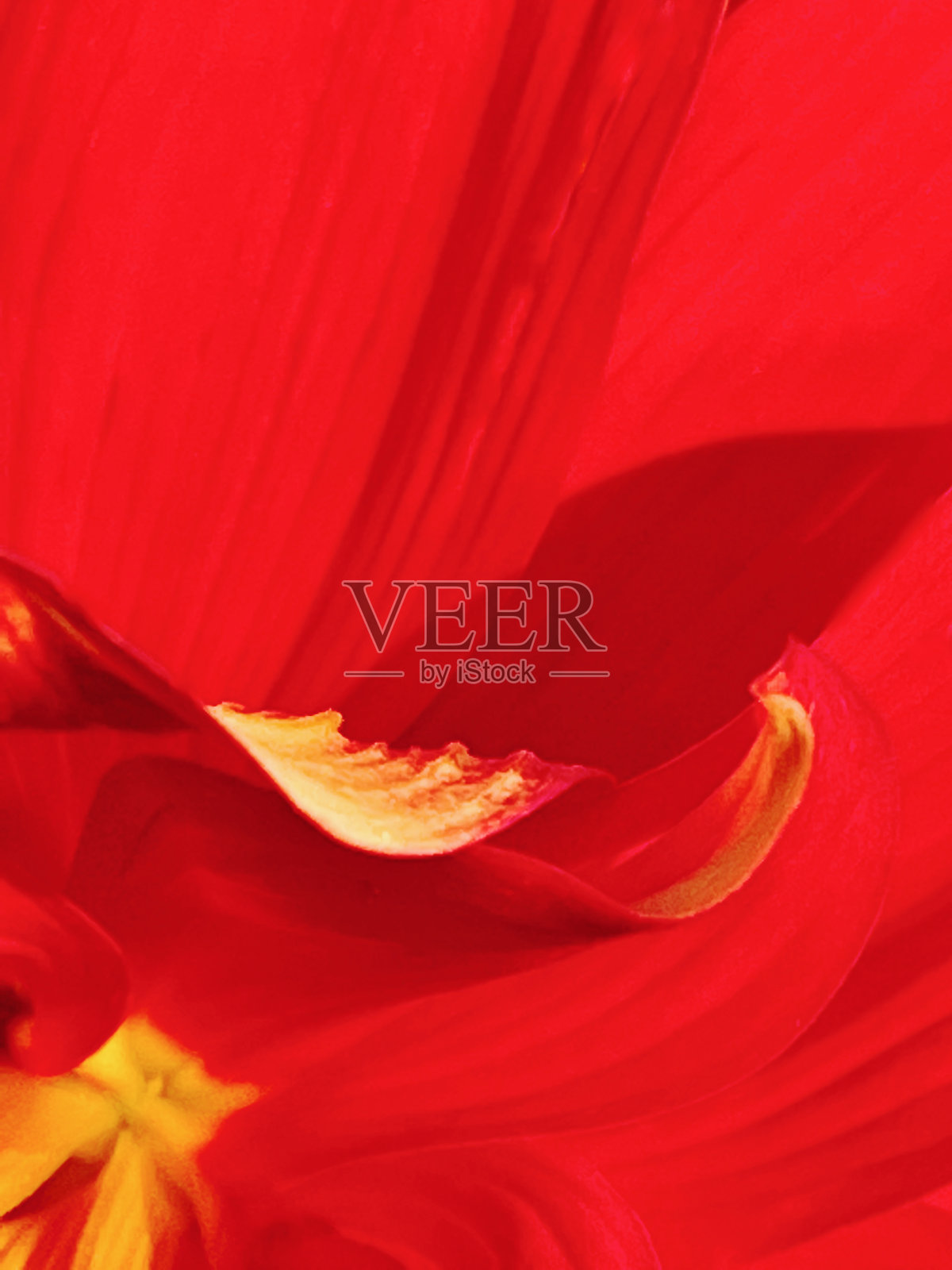 红色和黄色背景照片摄影图片