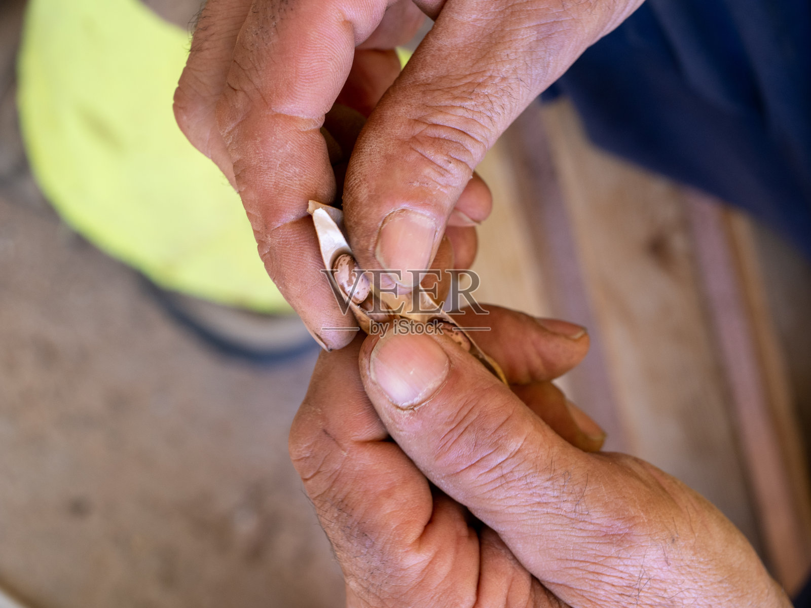 人豆照片摄影图片