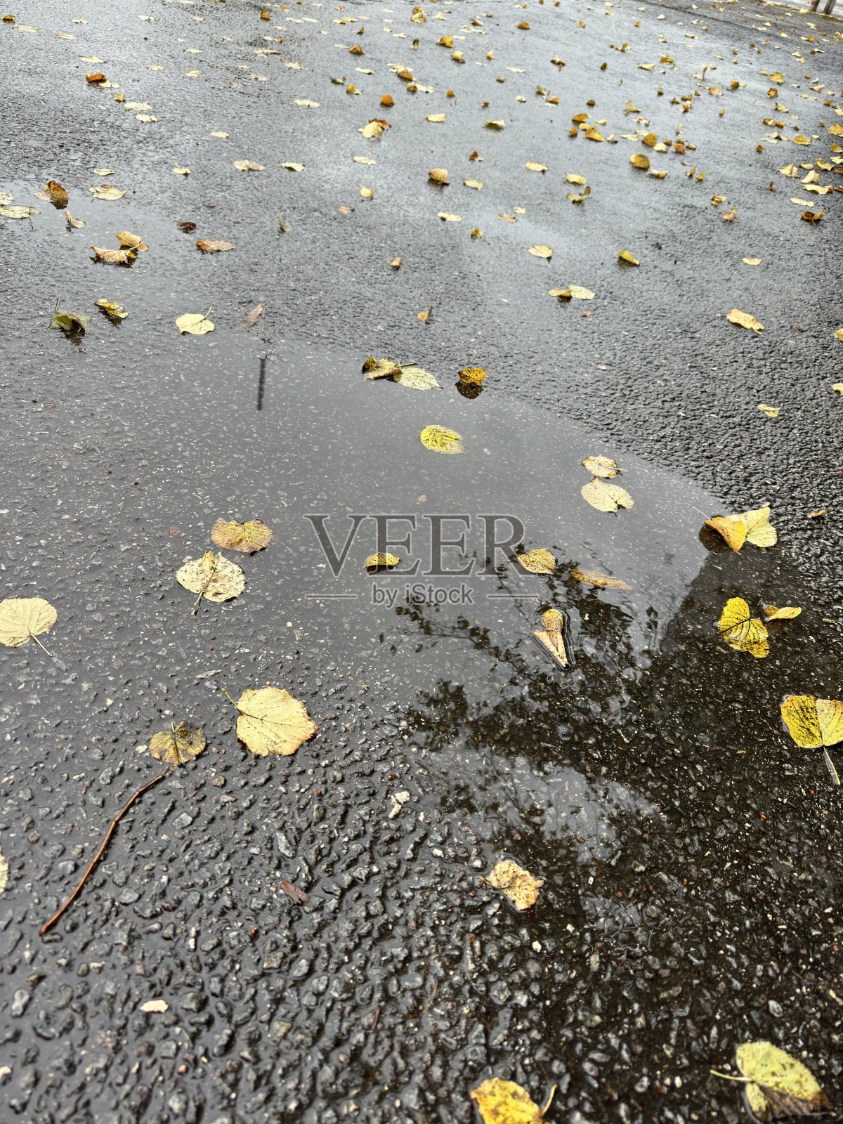 户外背景照片摄影图片