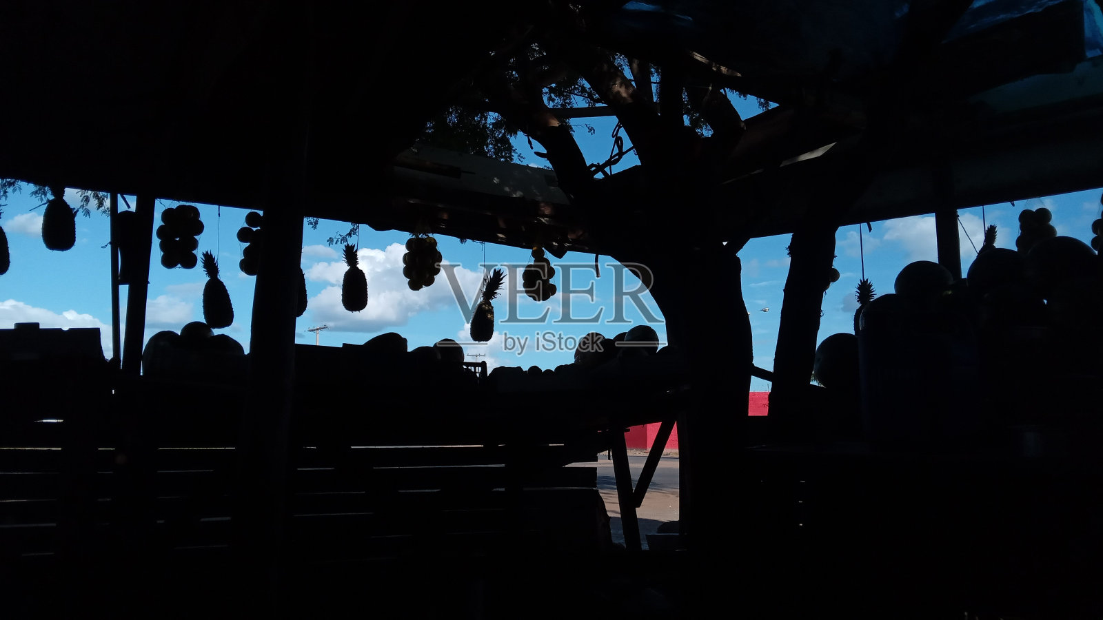 树的影子照片摄影图片