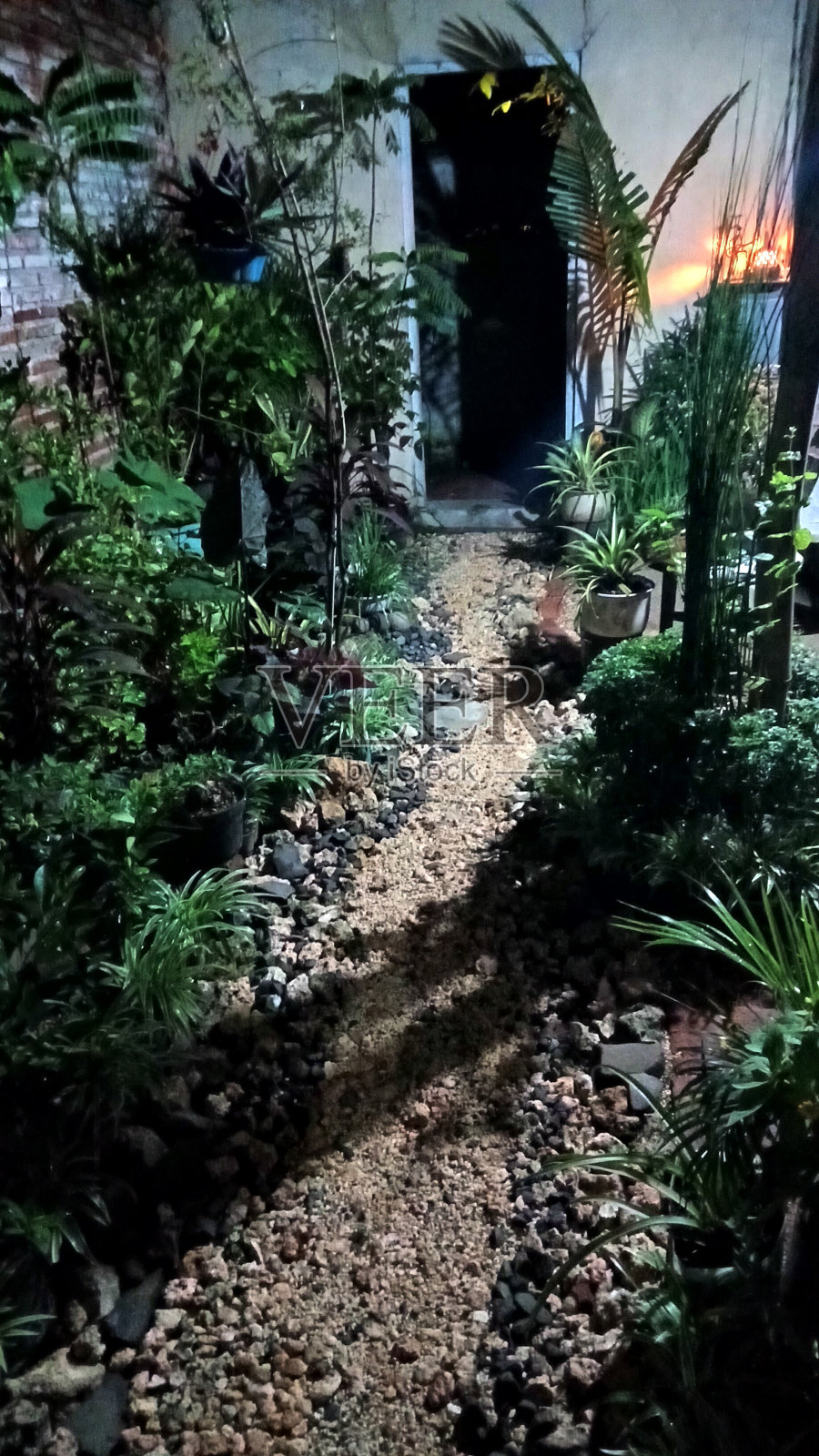 家庭花园照片摄影图片