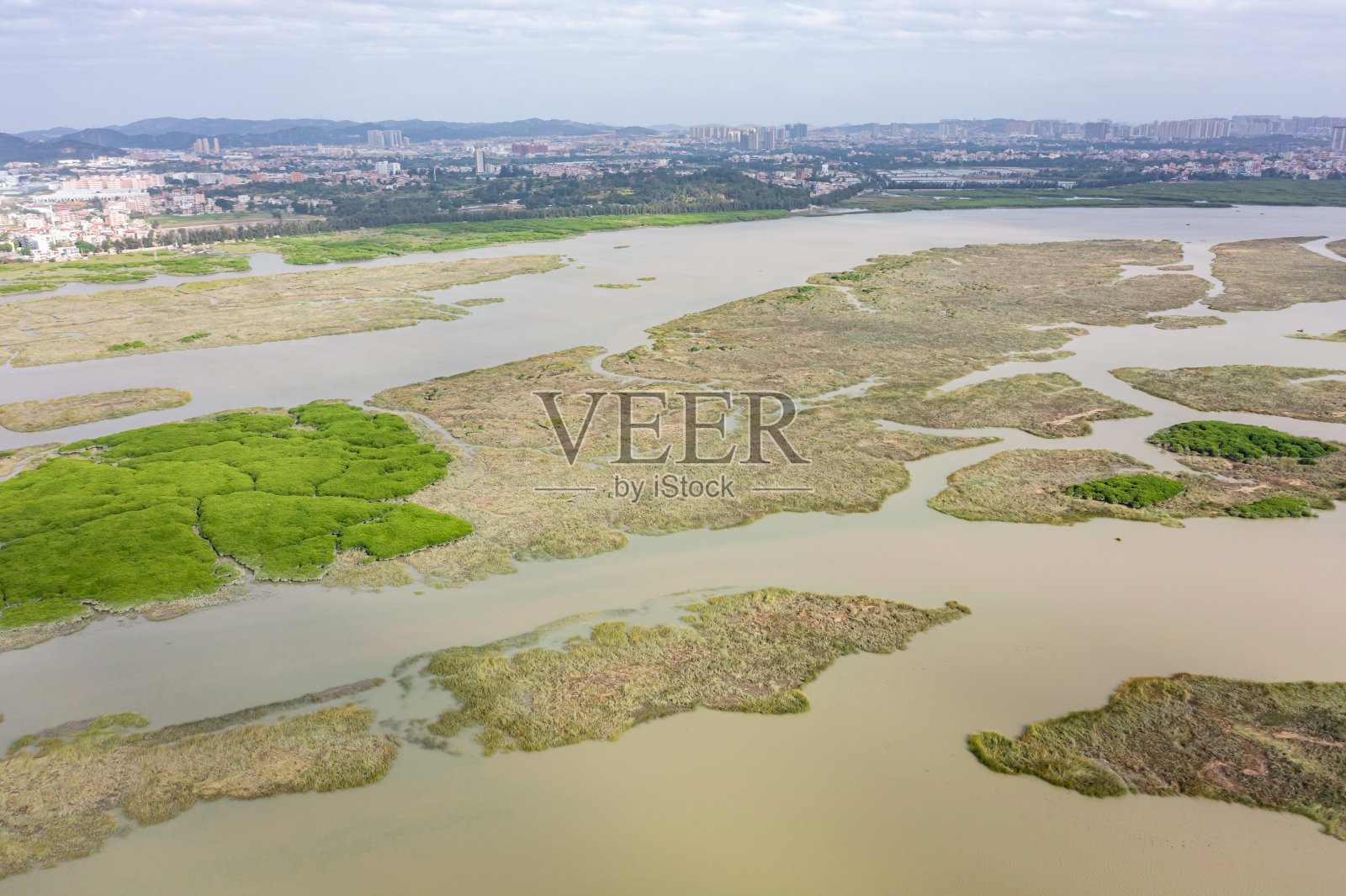 海边红树林的鸟瞰图照片摄影图片