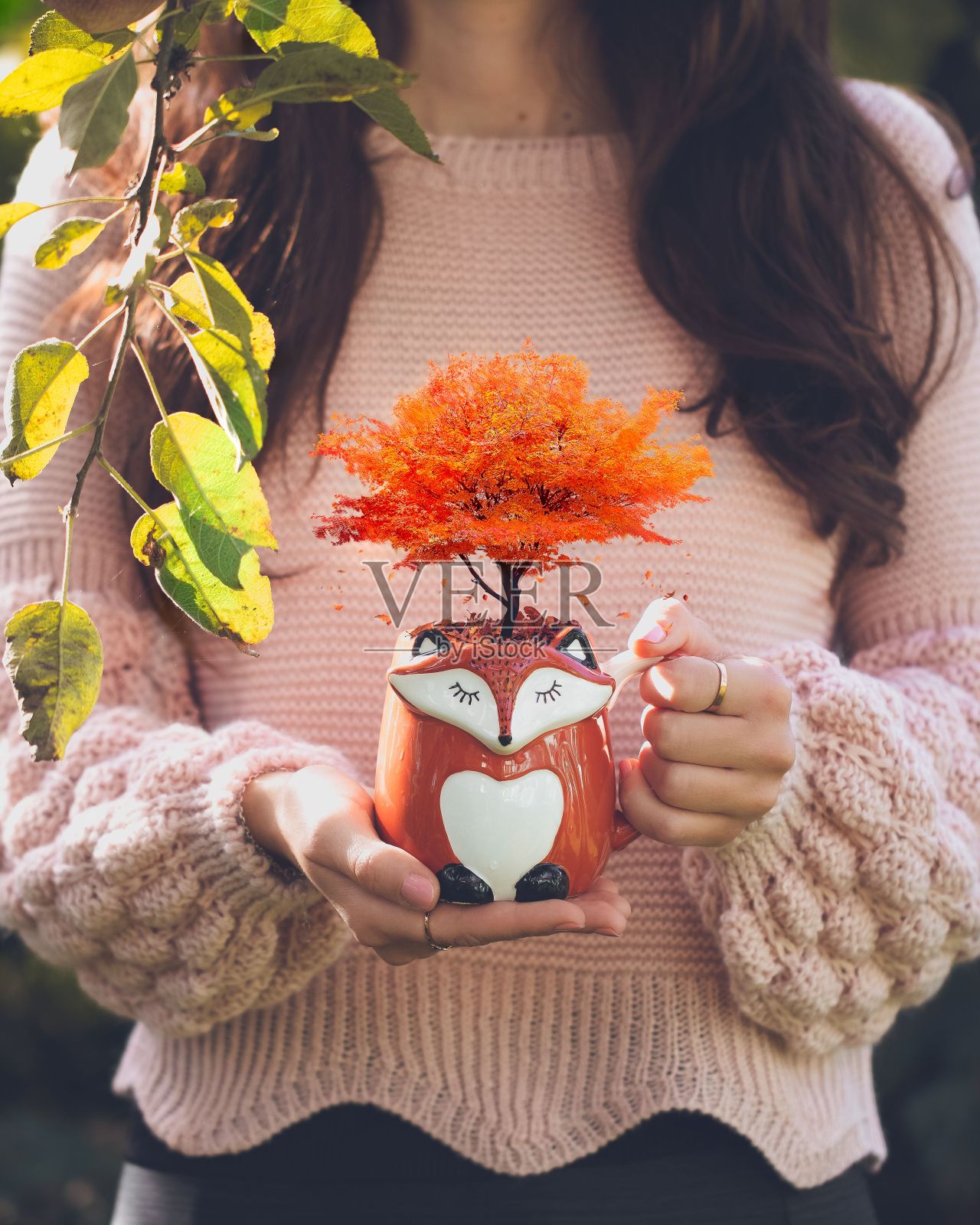 美丽的特写狐狸形状的锅与装饰橘子树在女性手上照片摄影图片