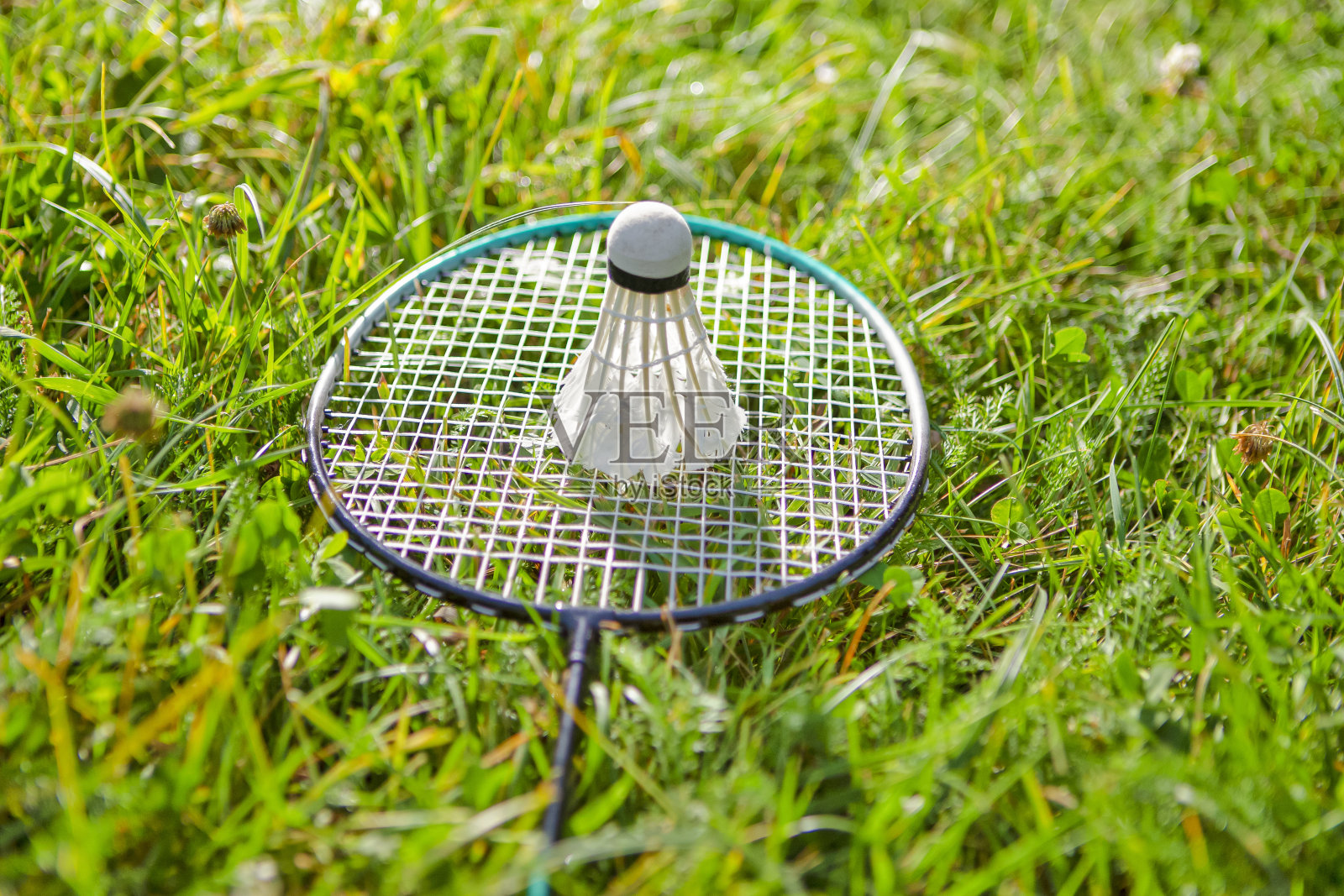 将羽毛球和羽毛球拍直接放置在室外草坪上照片摄影图片