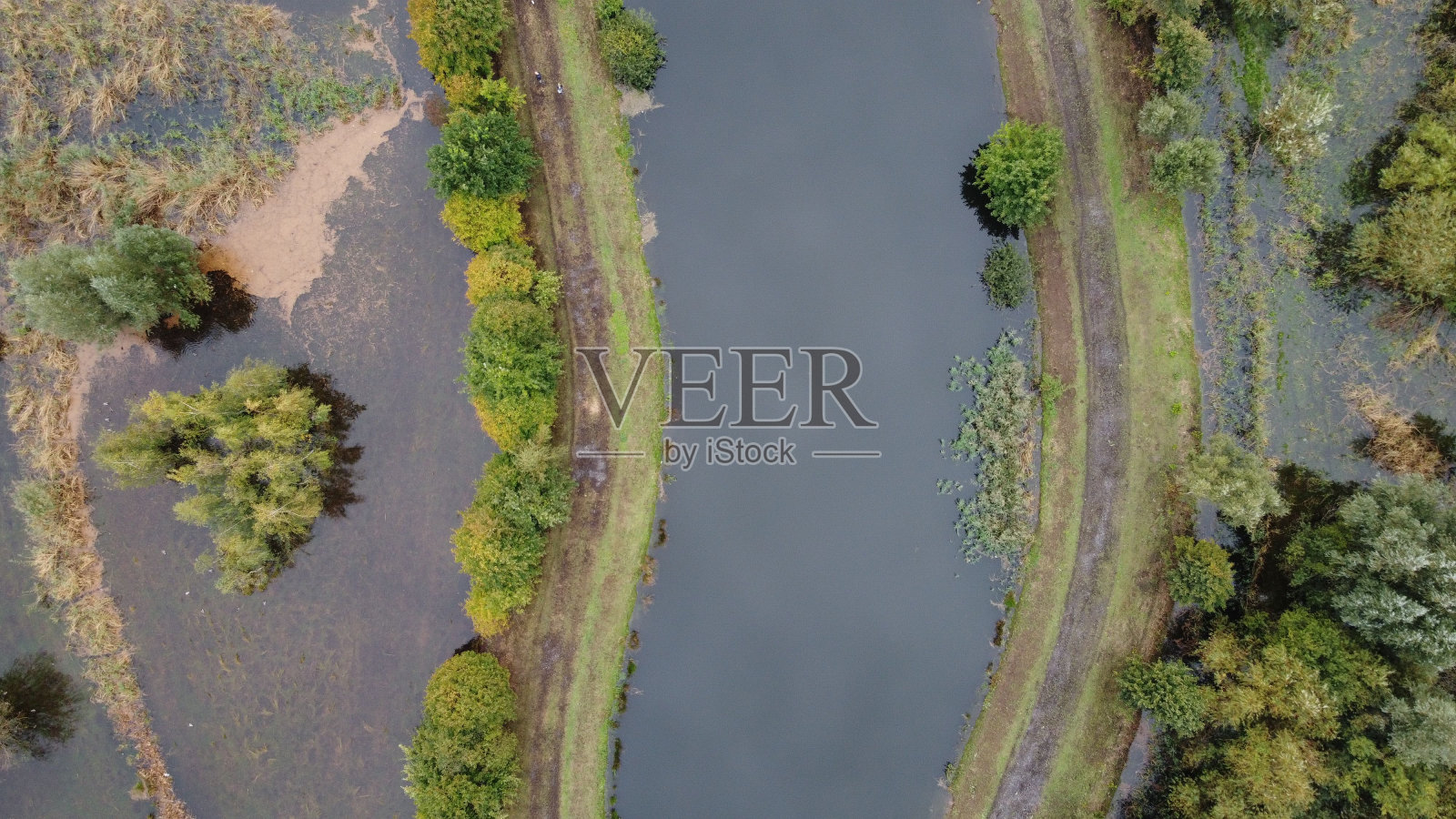 鸟瞰生长在水体中的绿树照片摄影图片