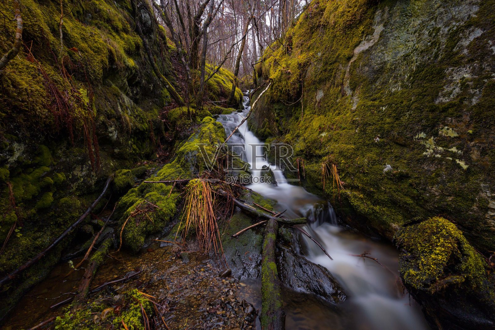 美丽的风景,一条狭窄的小溪从长满青苔的岩石和原木的美丽森林中向下流淌照片摄影图片