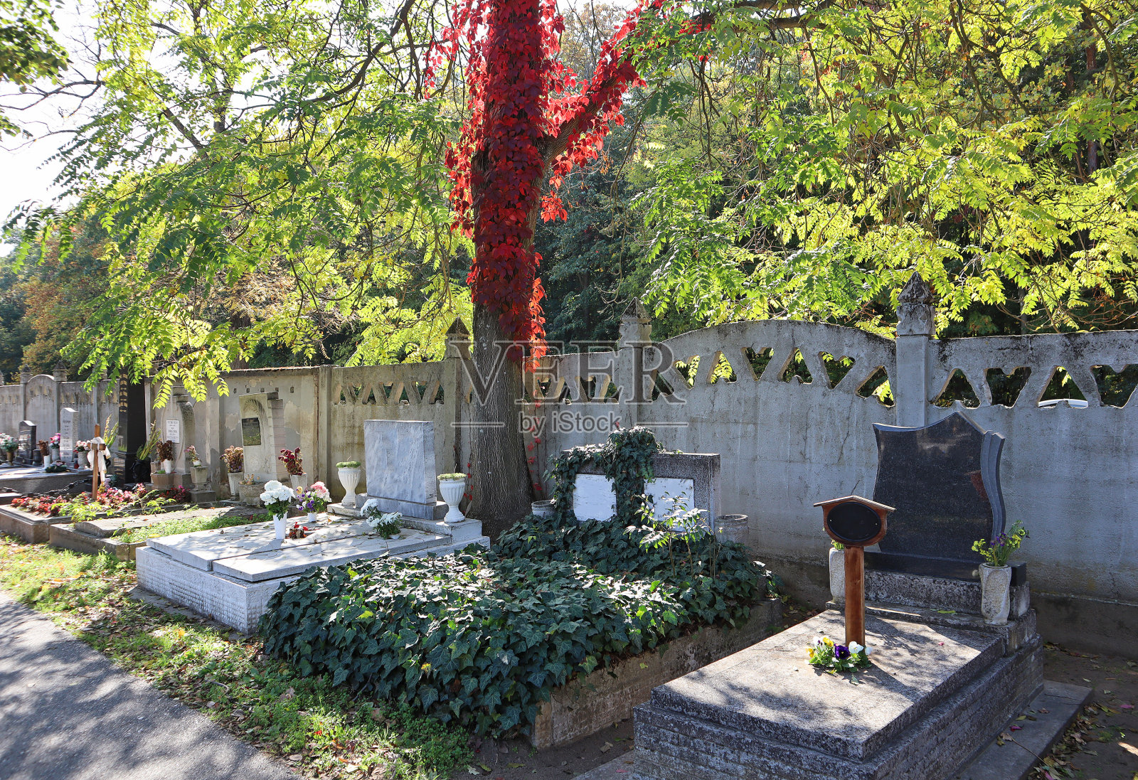 秋天公共公墓的墓碑照片摄影图片