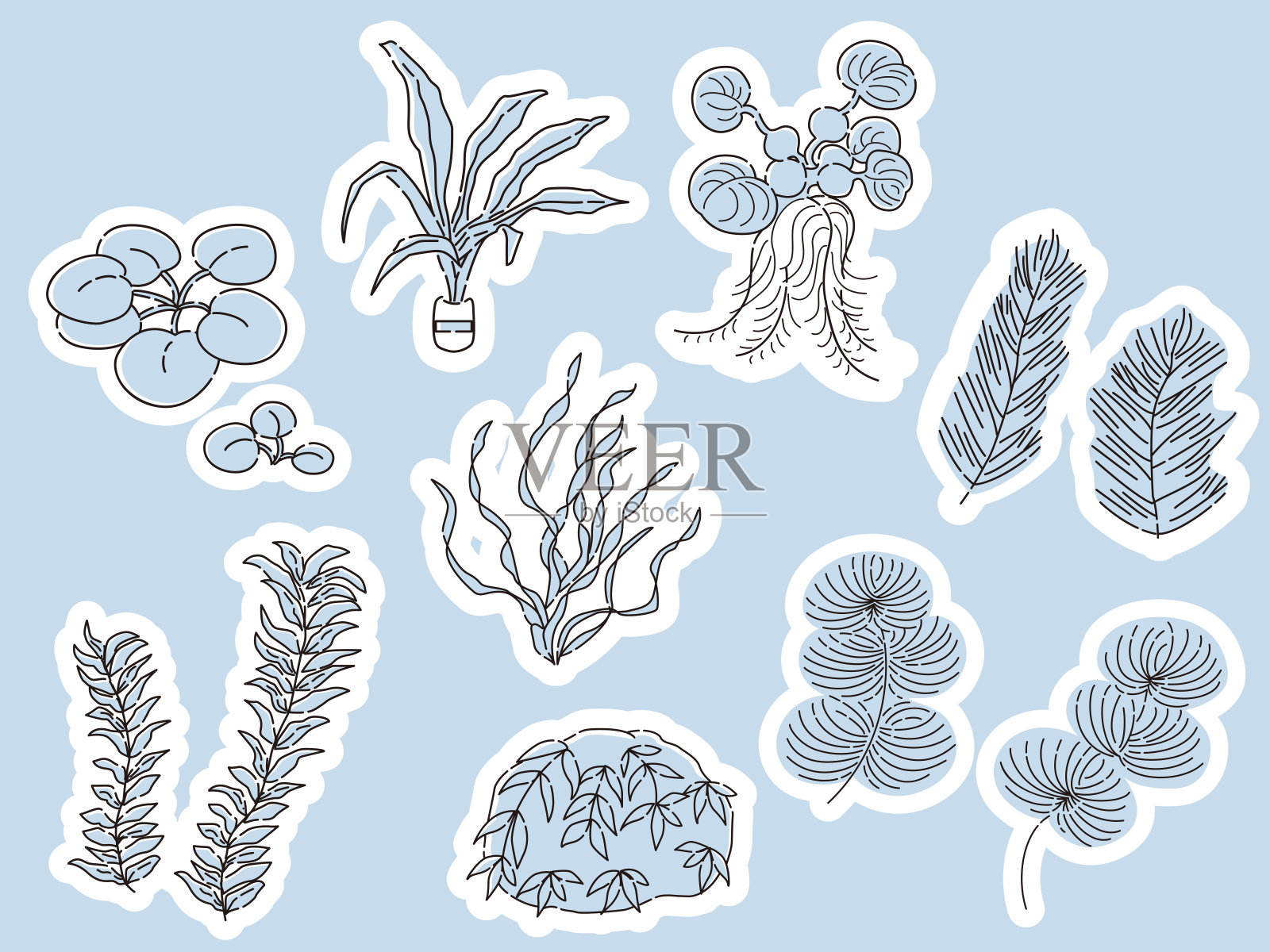 水生植物水族箱插图插画图片素材