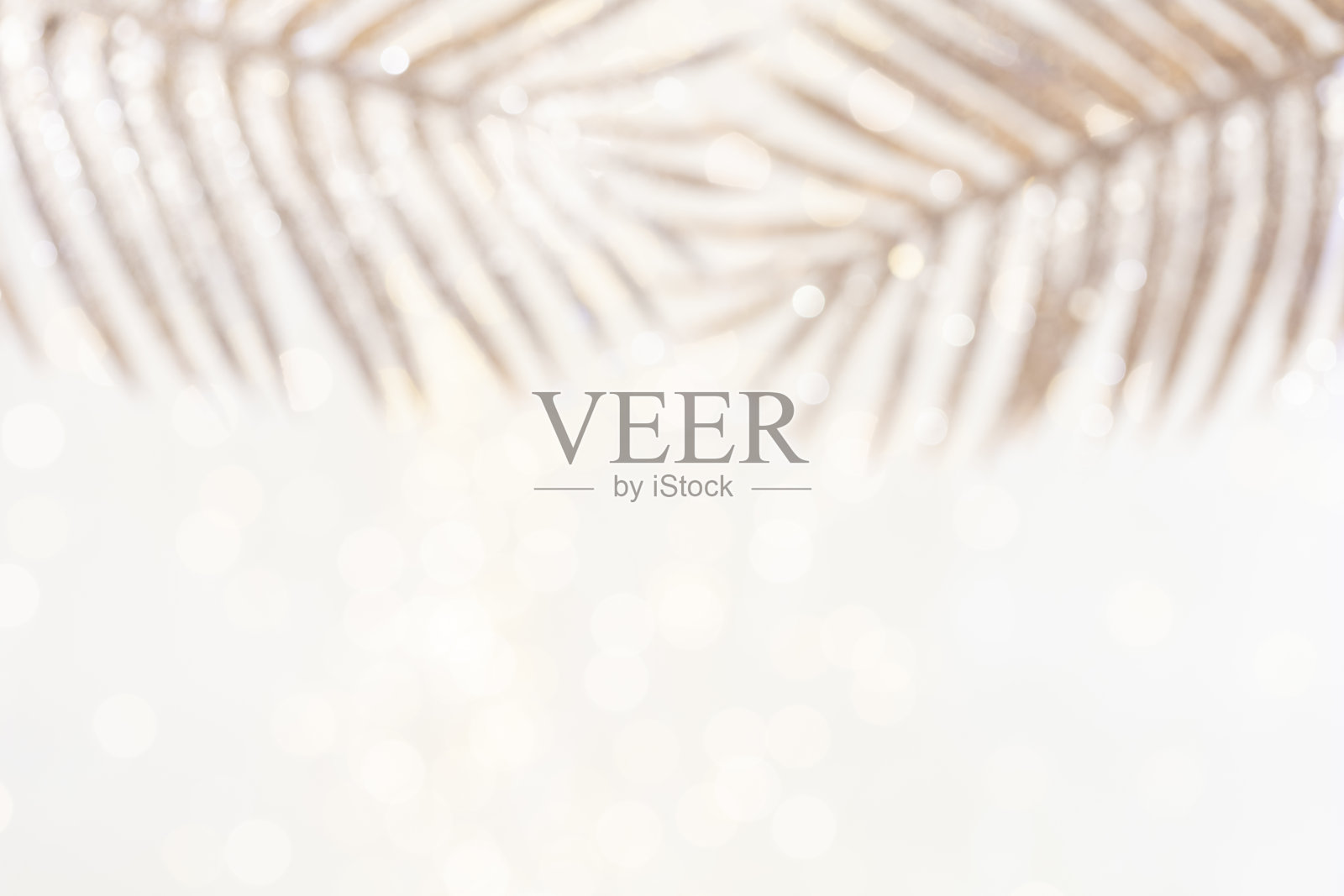 闪亮的渐变背景与金色棕榈叶和散景。照片摄影图片