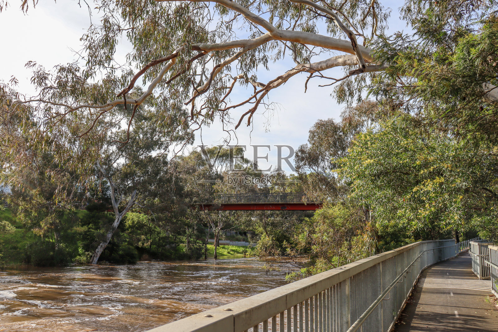 河流景观,桥和步行小径穿过丛林照片摄影图片