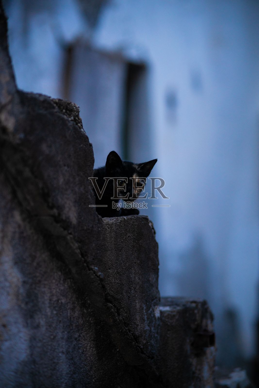 垂直拍摄的黑猫,脸上有白斑,正坐在一座老建筑的台阶上照片摄影图片