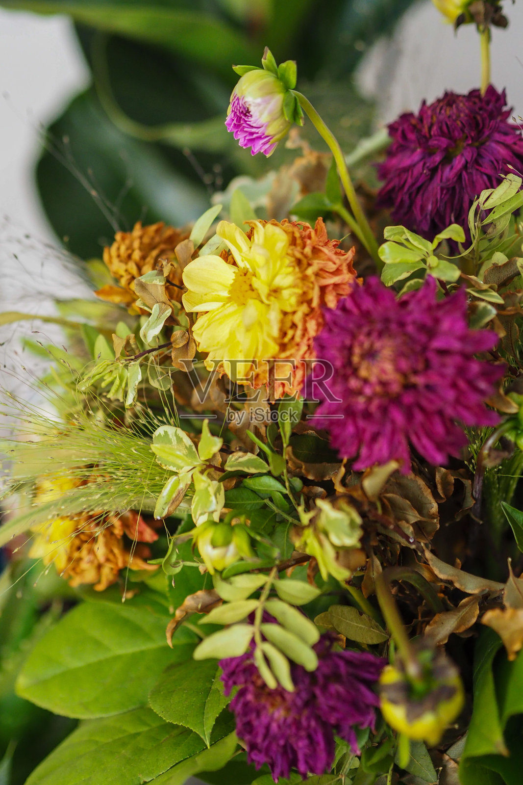 垂直特写一个美丽的多色花束照片摄影图片