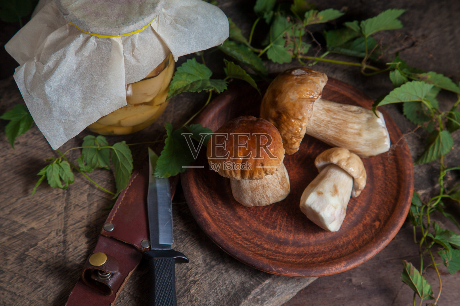 泥盘牛肝菌菇通常称为Boletus Edulis,玻璃罐罐头蘑菇和刀在老式的木制背景。照片摄影图片