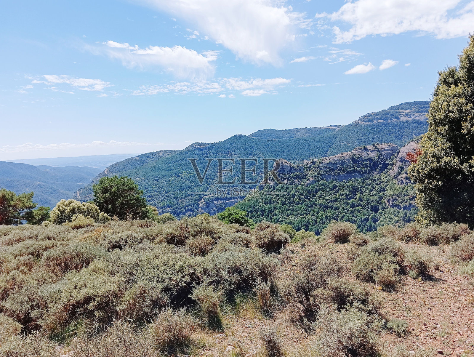 乡村草原和山地景观的自然景观照片摄影图片