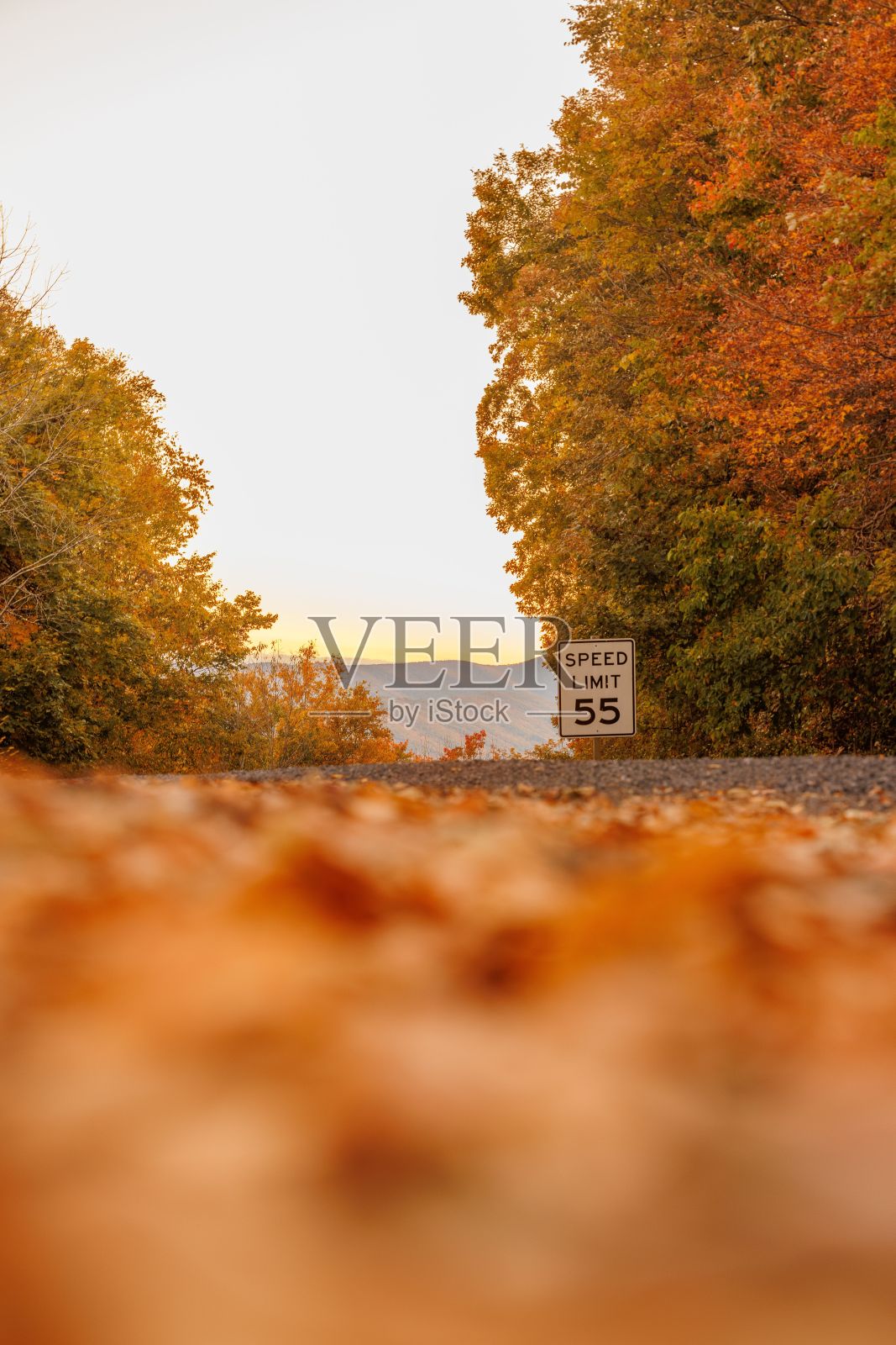 垂直拍摄的橙色秋叶落在有限速标志的道路上照片摄影图片