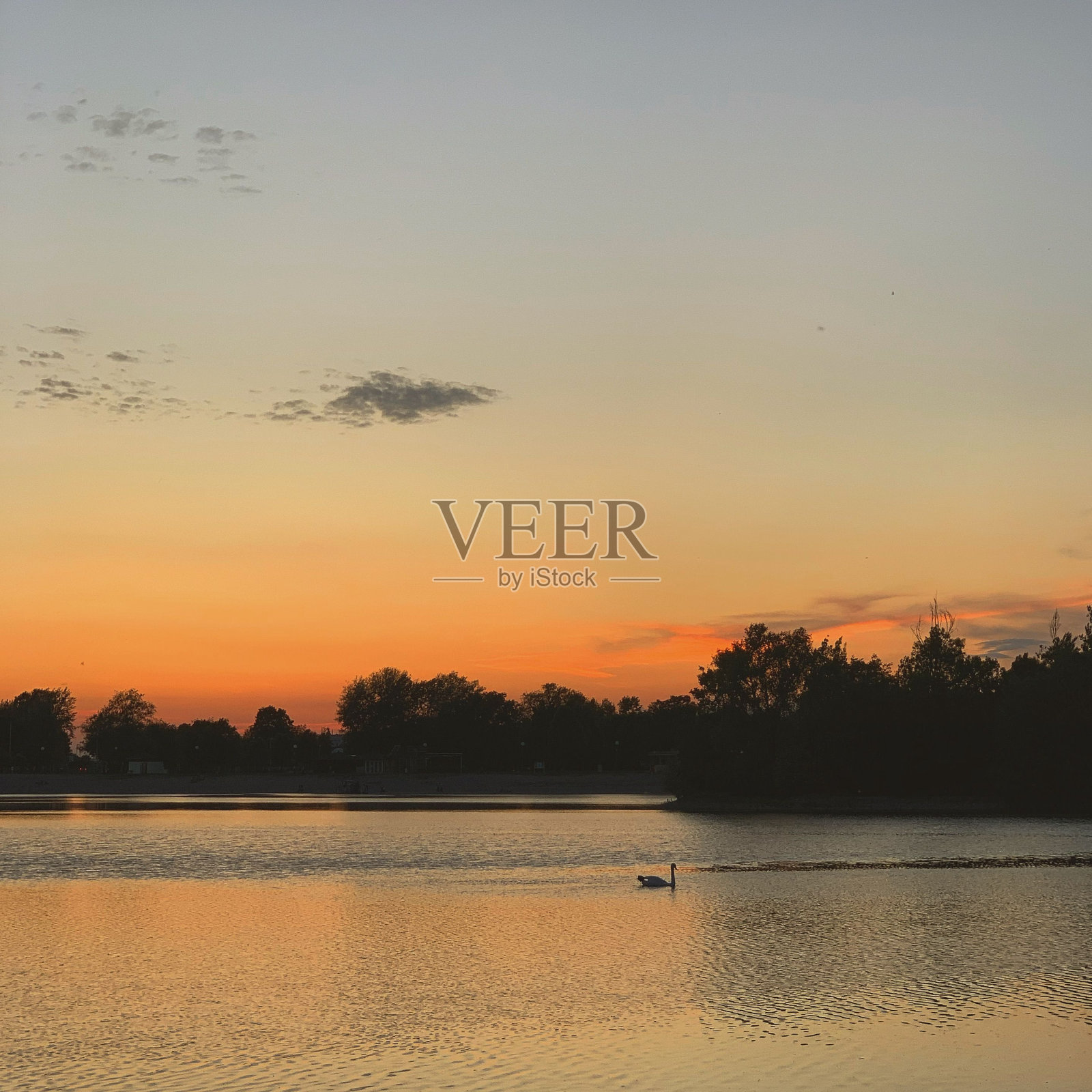 湖上美丽的日落和树木的剪影。照片摄影图片