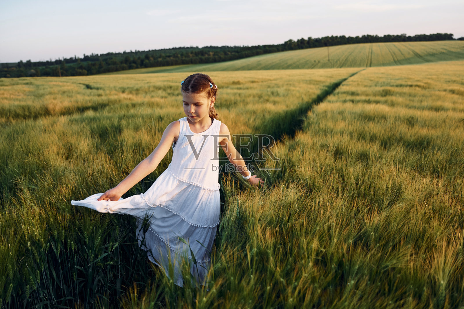 站着享受散步。阳光明媚的日子,穿着白色衣服的小女孩在农田里照片摄影图片