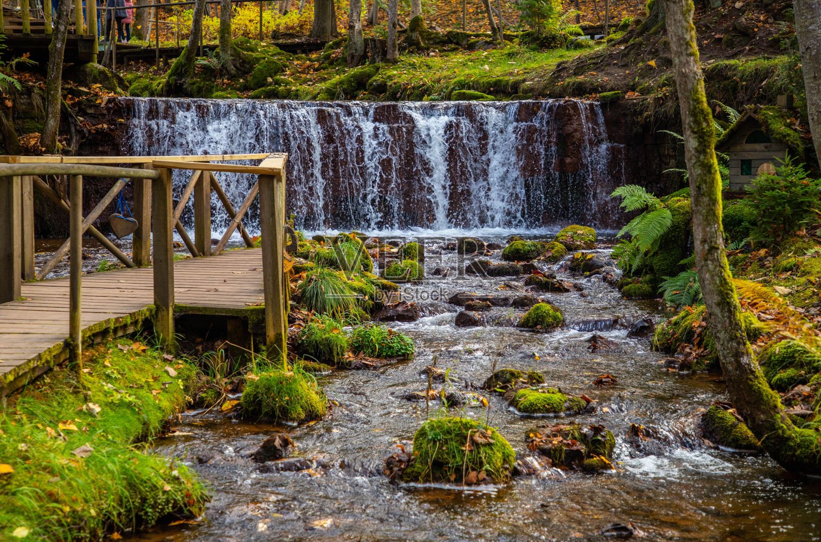 在阳光明媚的日子里,美丽的瀑布和森林里的绿色风景照片摄影图片
