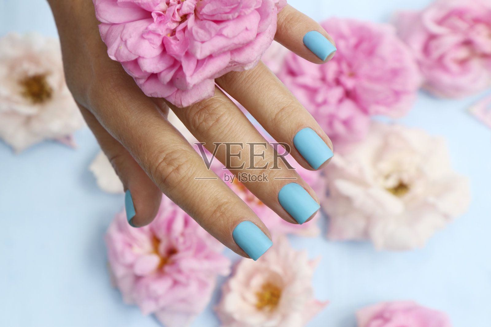 短指甲上涂蓝色指甲。照片摄影图片