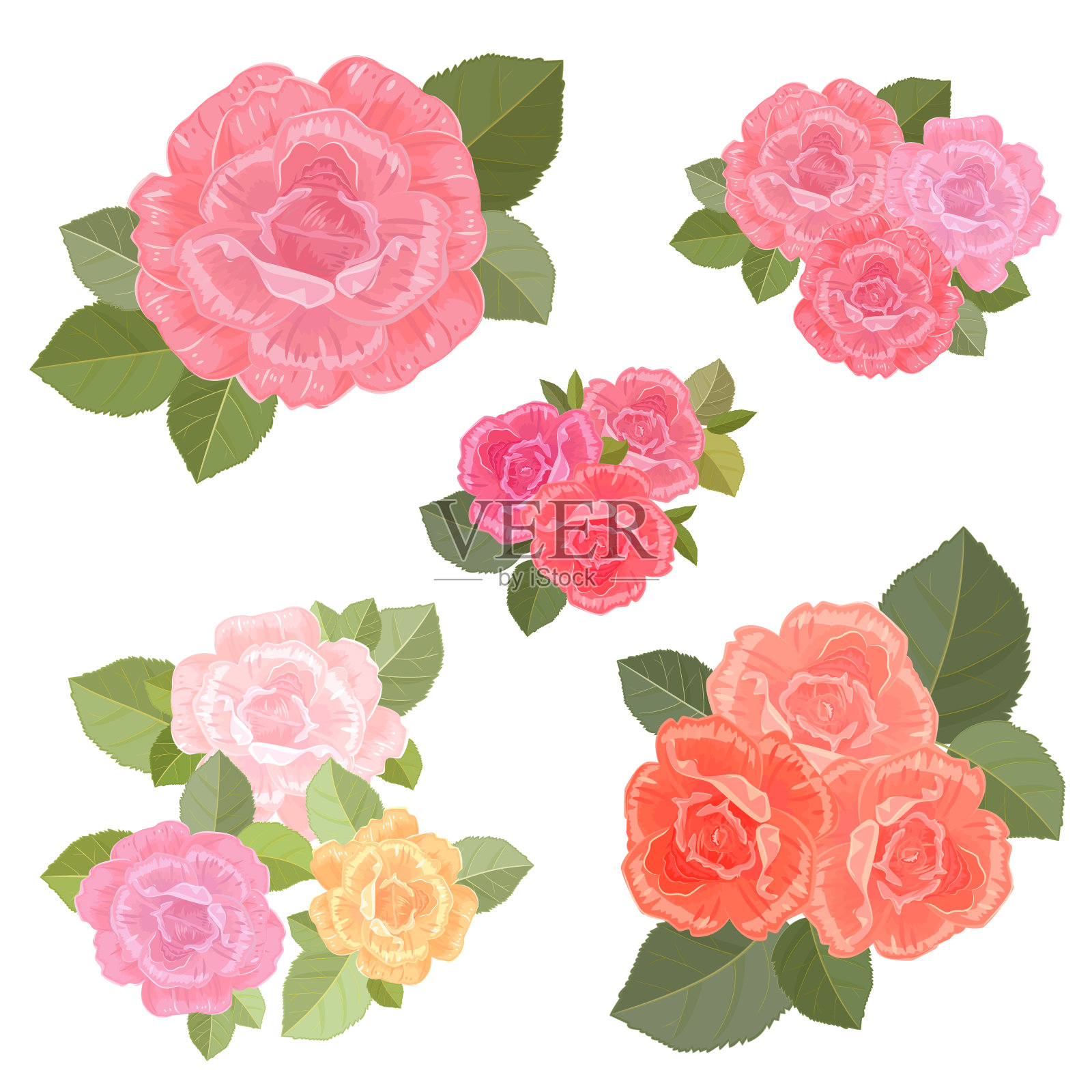 为你的设计收集复古玫瑰花束。插画图片素材