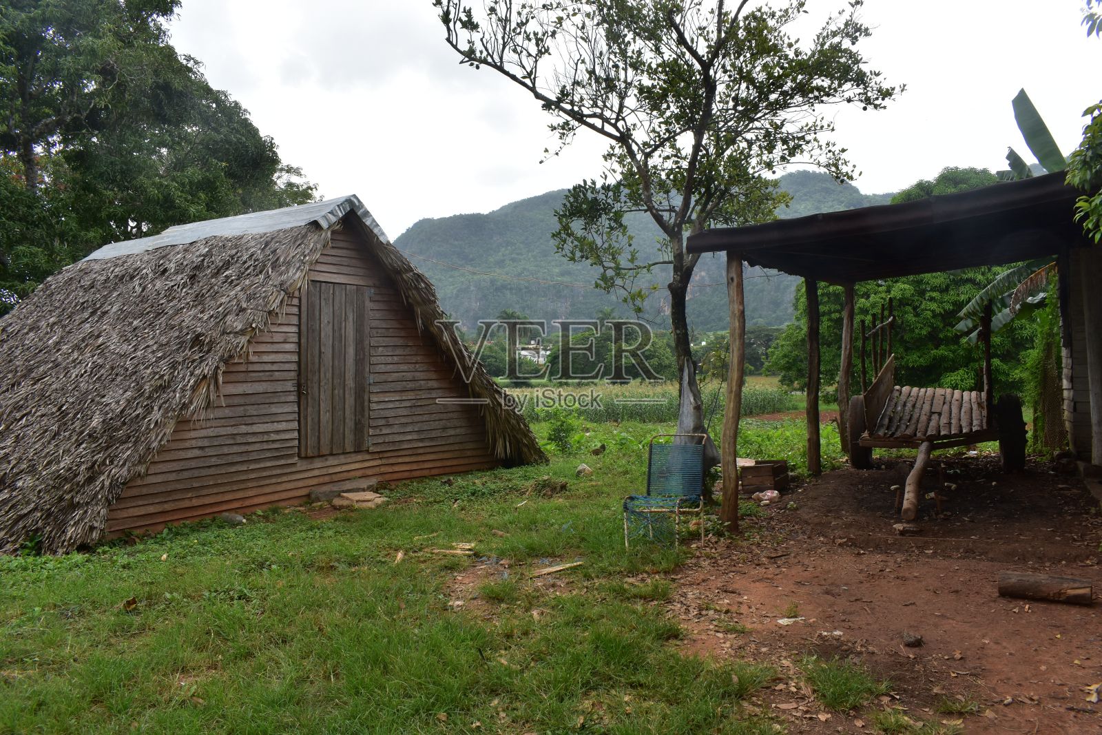 古巴维纳莱斯,树木背景下的木屋和旧马车照片摄影图片