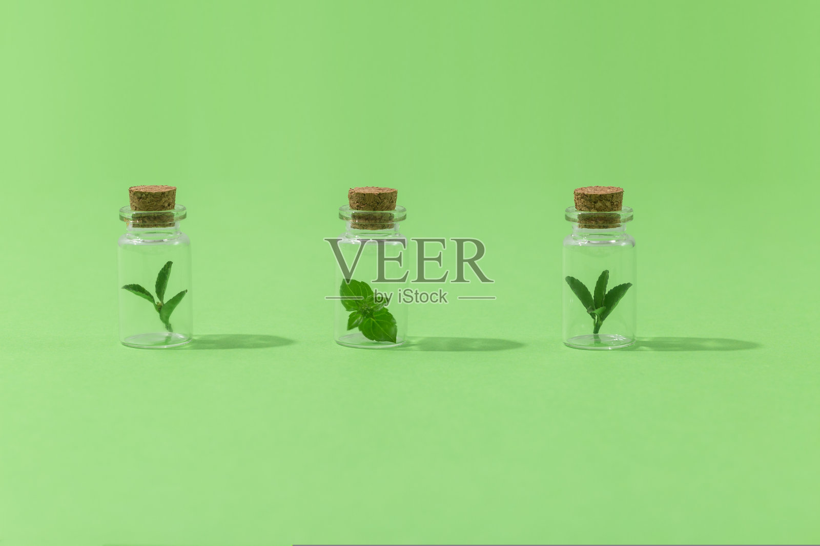 有机、生物化妆品的健康概念,天然植物装在瓶子里。照片摄影图片