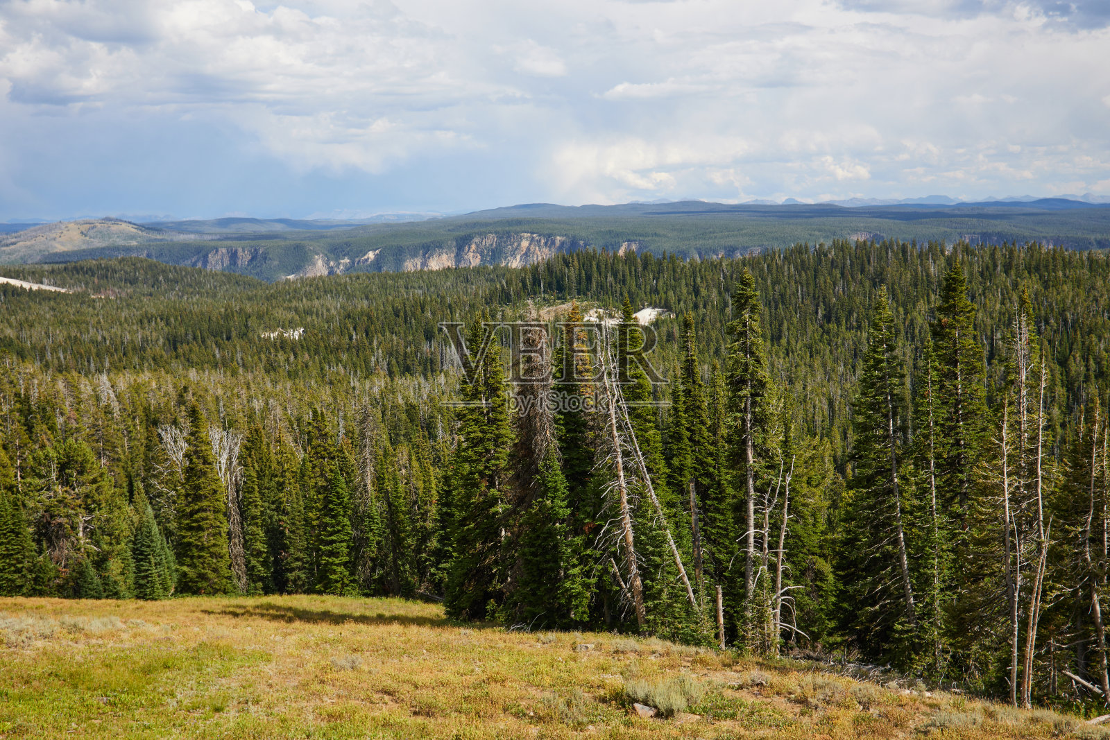 黄石国家公园照片摄影图片