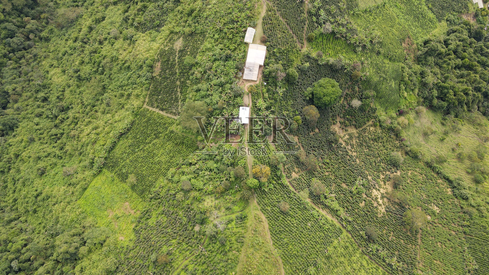 俯瞰青山上的两幢白房子照片摄影图片