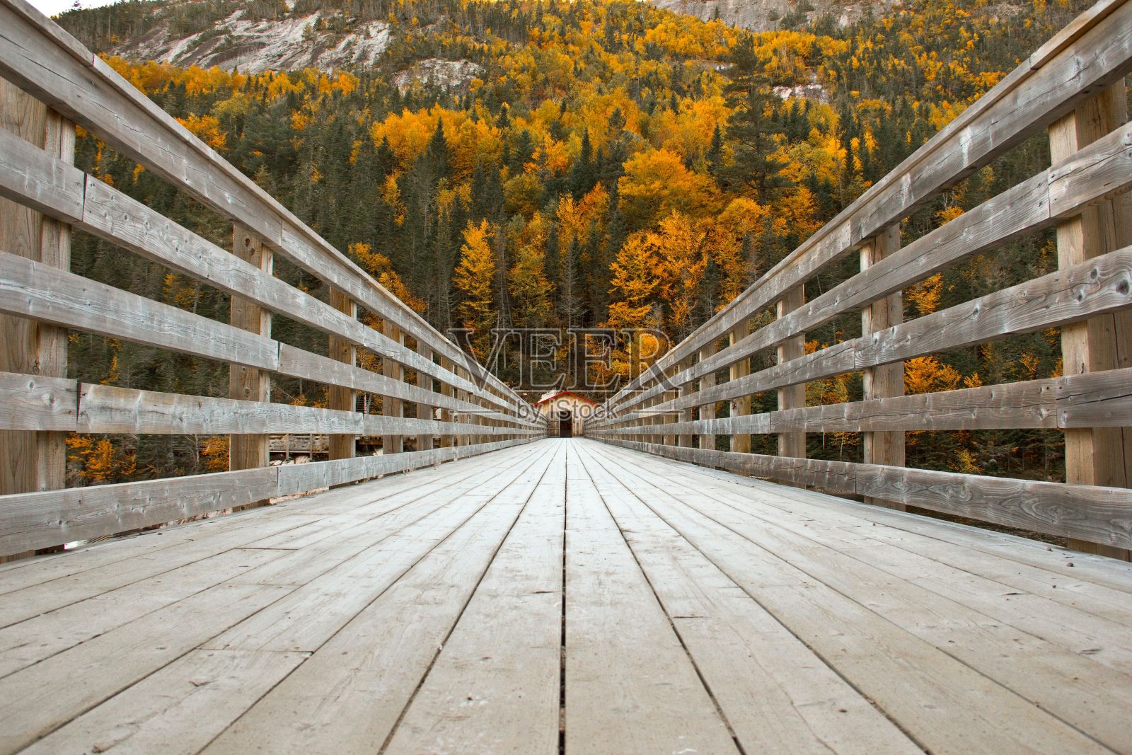 以秋叶为背景的木桥的美丽照片照片摄影图片