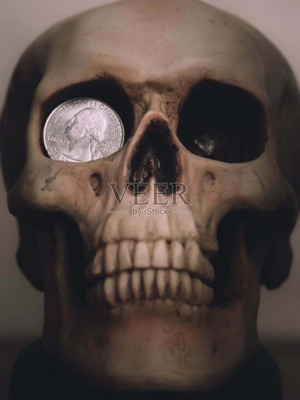 一个头骨的特写,轨道上有一枚硬币,垂直拍摄照片摄影图片
