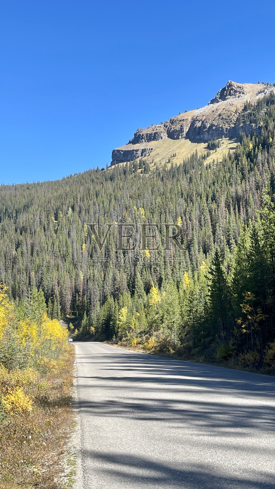 秋天的恶性道路贾斯珀阿尔伯塔照片摄影图片