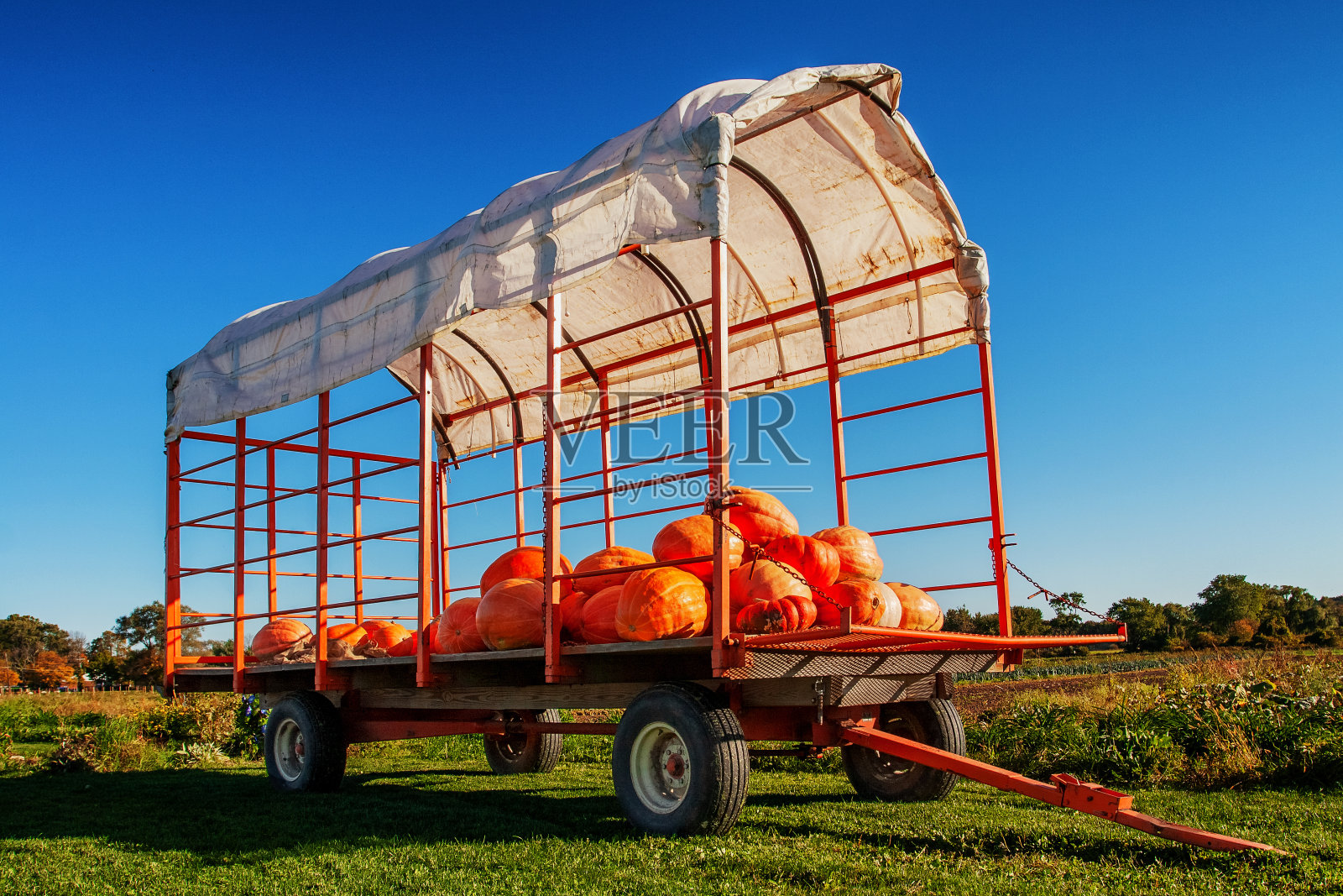 秋天的下午,装满南瓜的农场马车——美国马萨诸塞州照片摄影图片