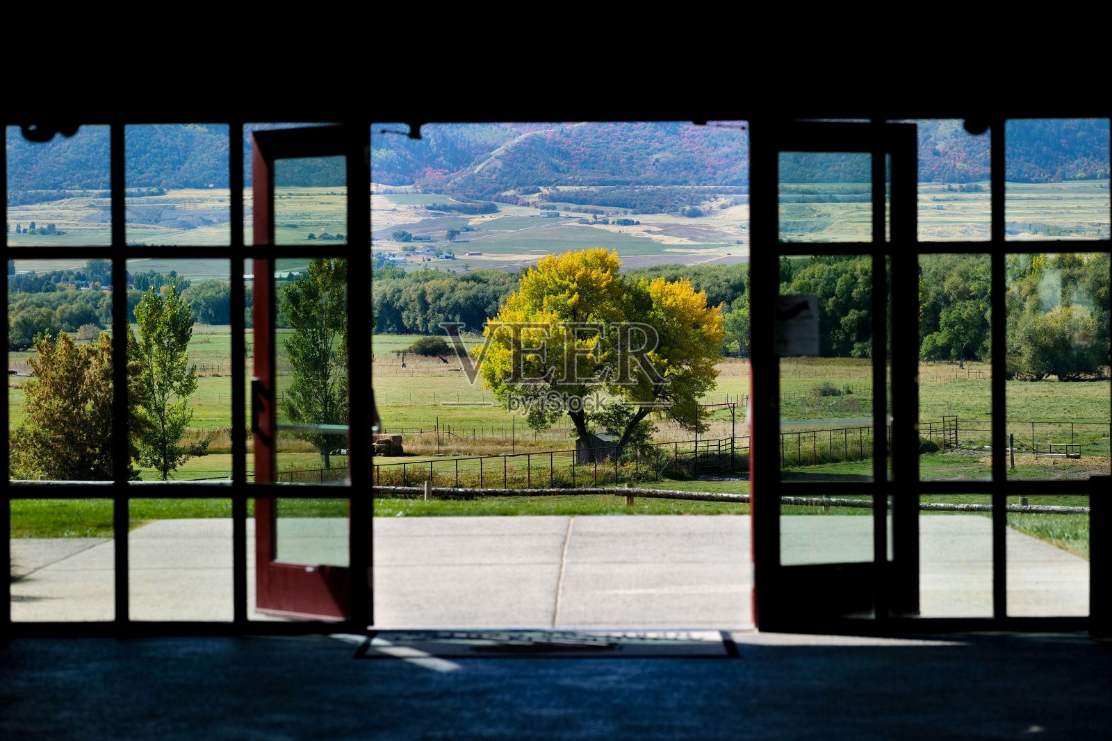 透过门可以看到一棵大树和农田的美丽景色照片摄影图片