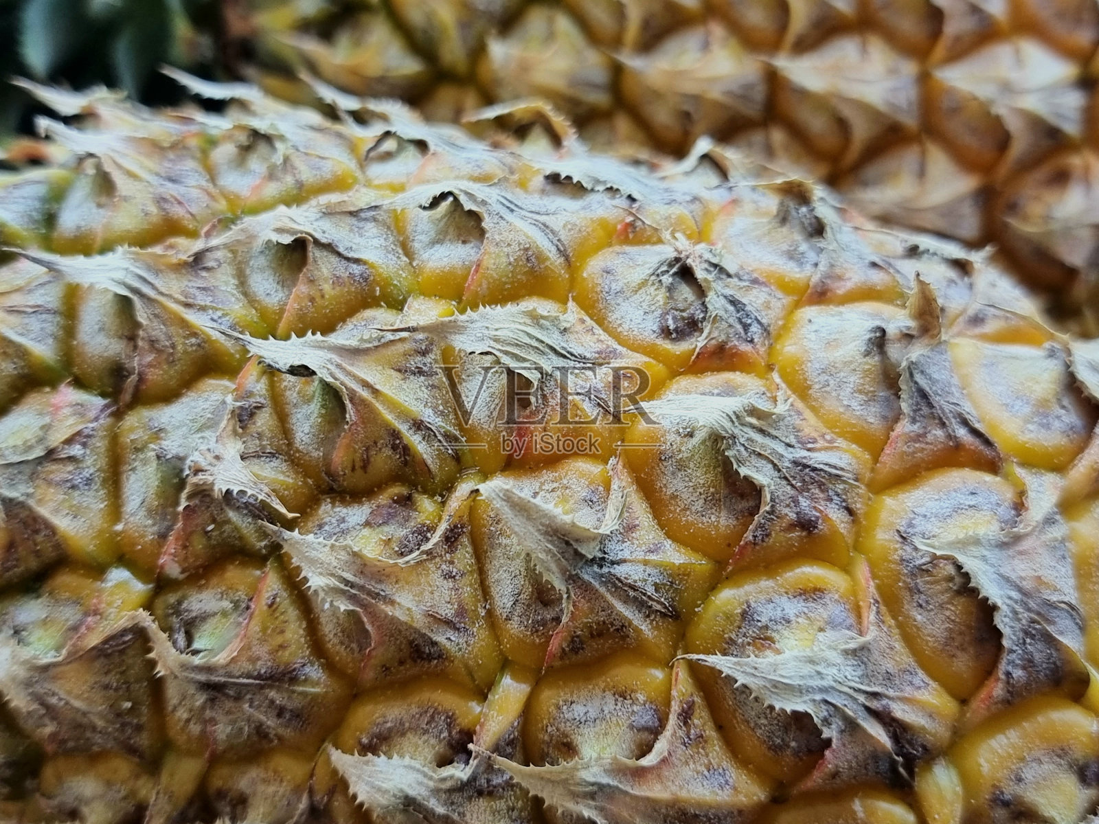 菠萝离食物超级标志不远。近景微距镜头照片摄影图片