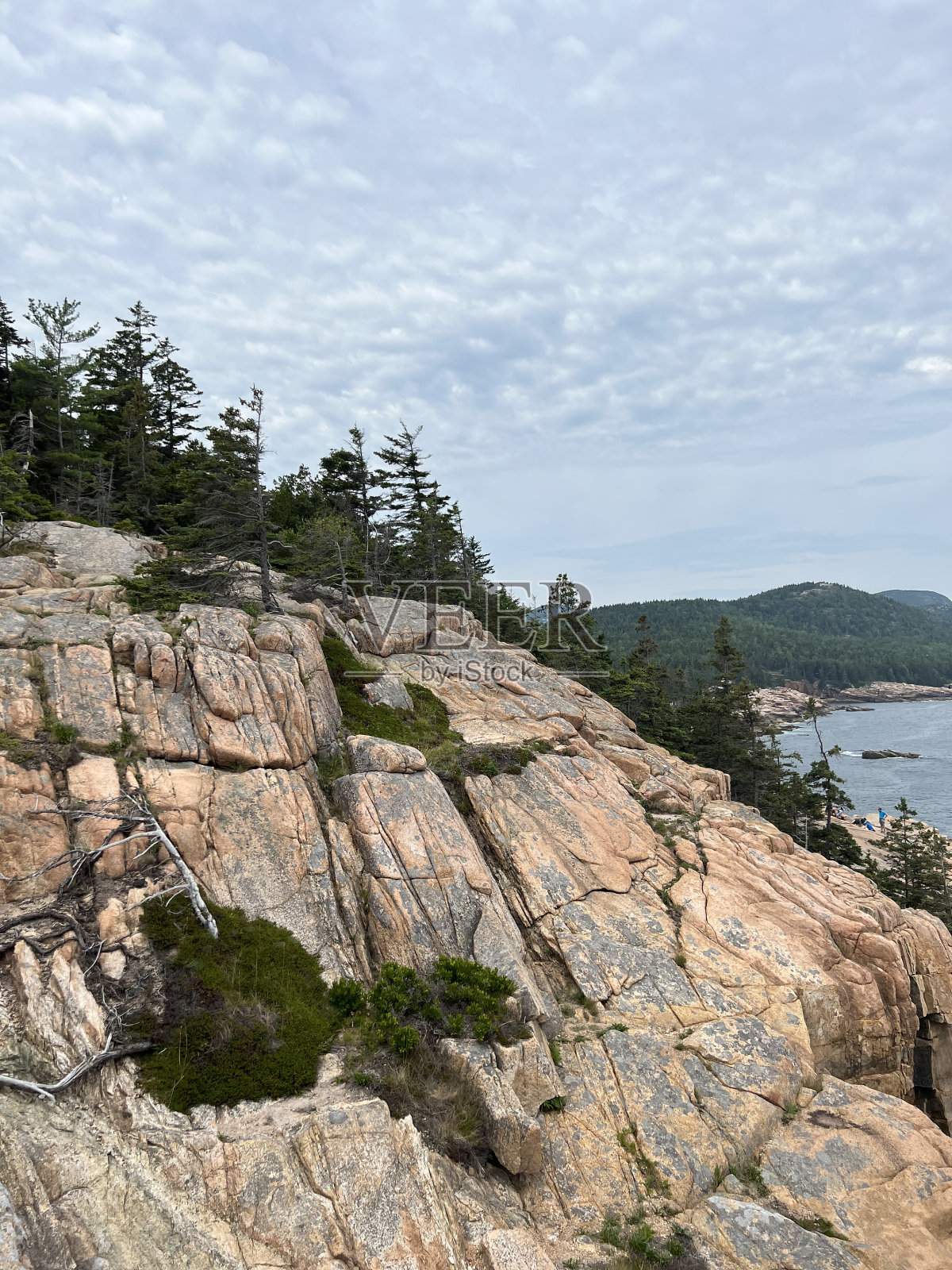 阿卡迪亚国家公园照片摄影图片