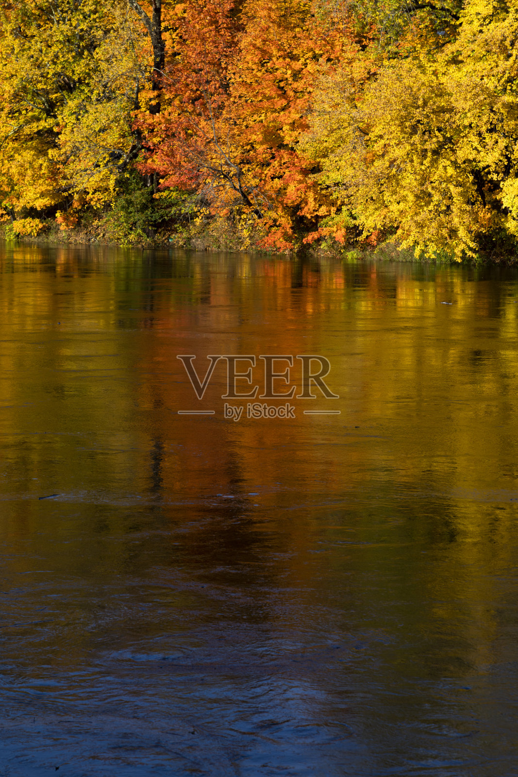 秋叶倒映在河水上。照片摄影图片