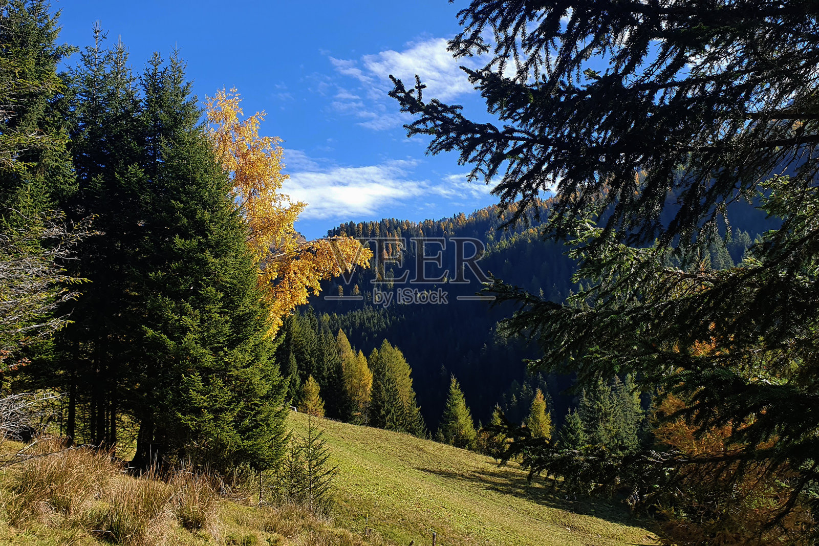 纳维斯将军回合照片摄影图片