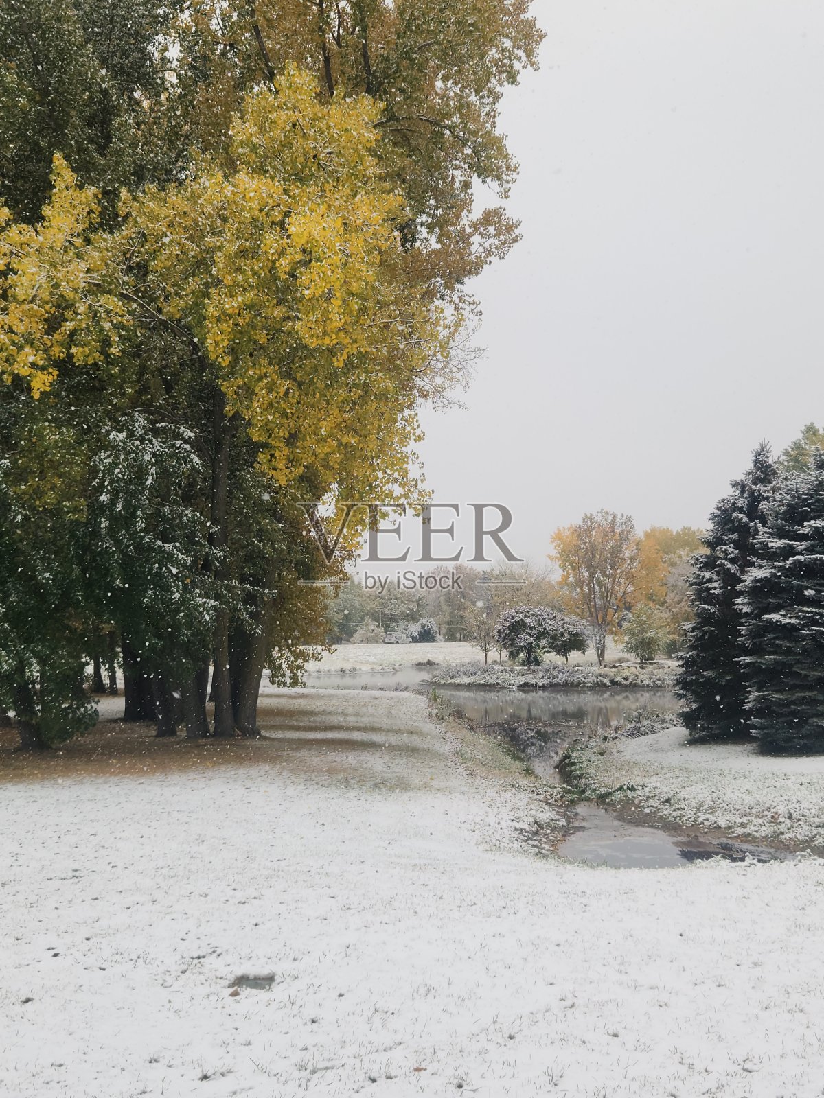雪落照片摄影图片
