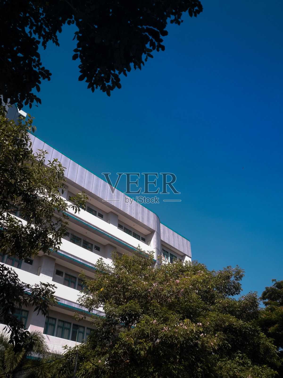 蓝天、建筑框架和树木照片摄影图片