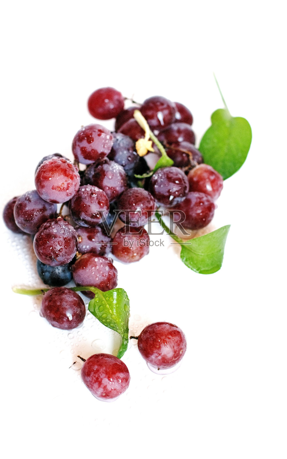 白色背景上孤立的李子的垂直特写。照片摄影图片