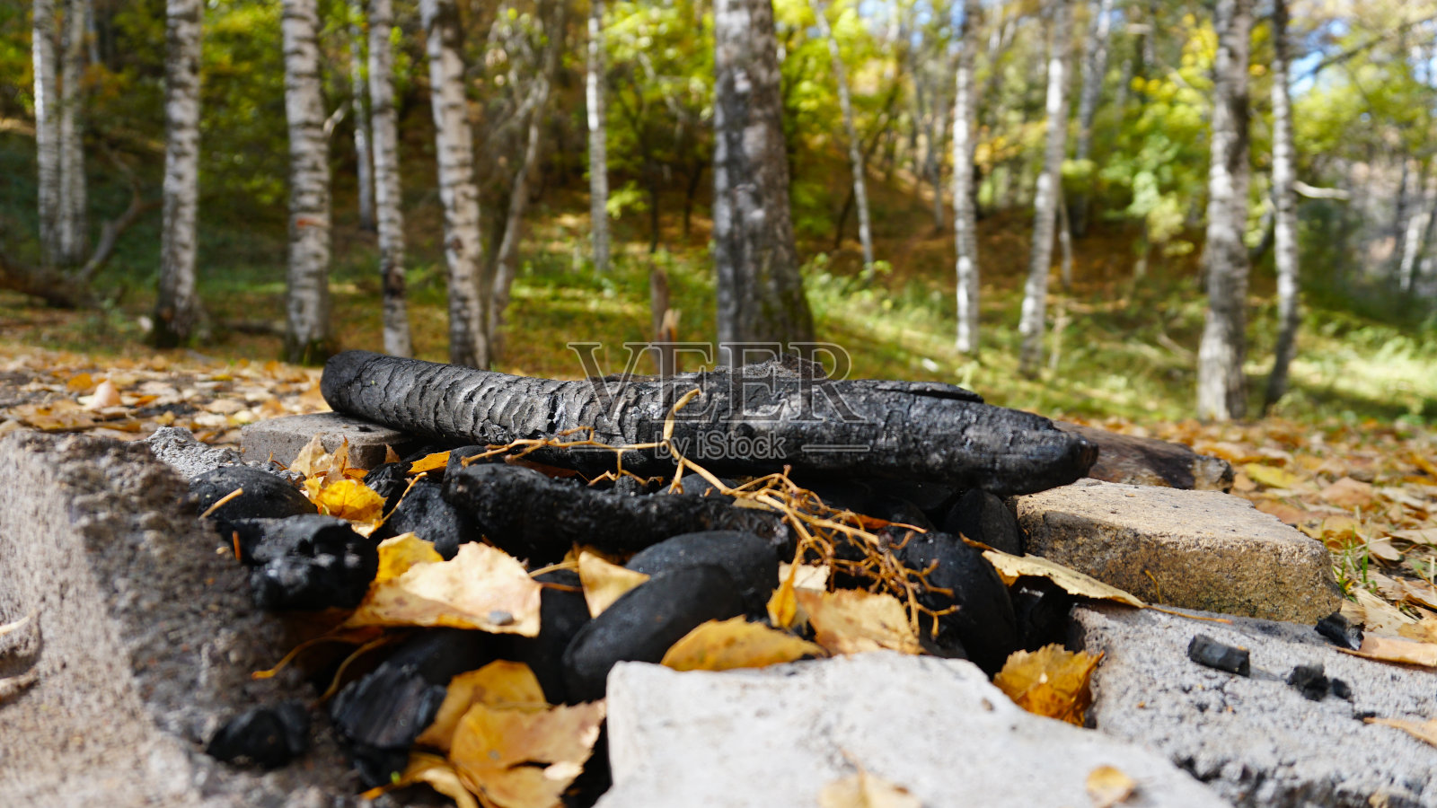 秋天森林大火后的煤照片摄影图片