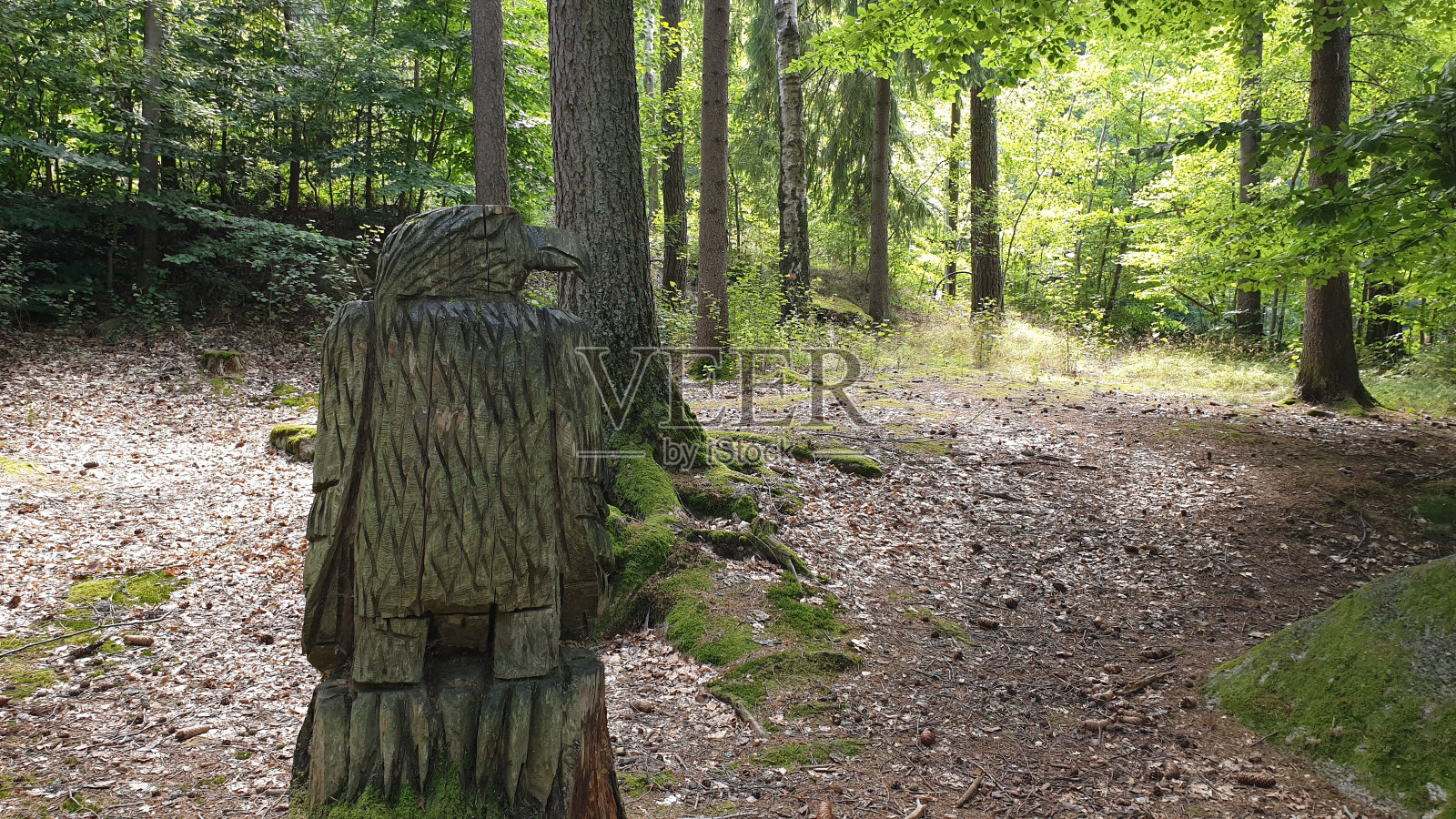 在路易森堡岩石迷宫中央的一棵树上雕刻的一只鹰的特写镜头照片摄影图片