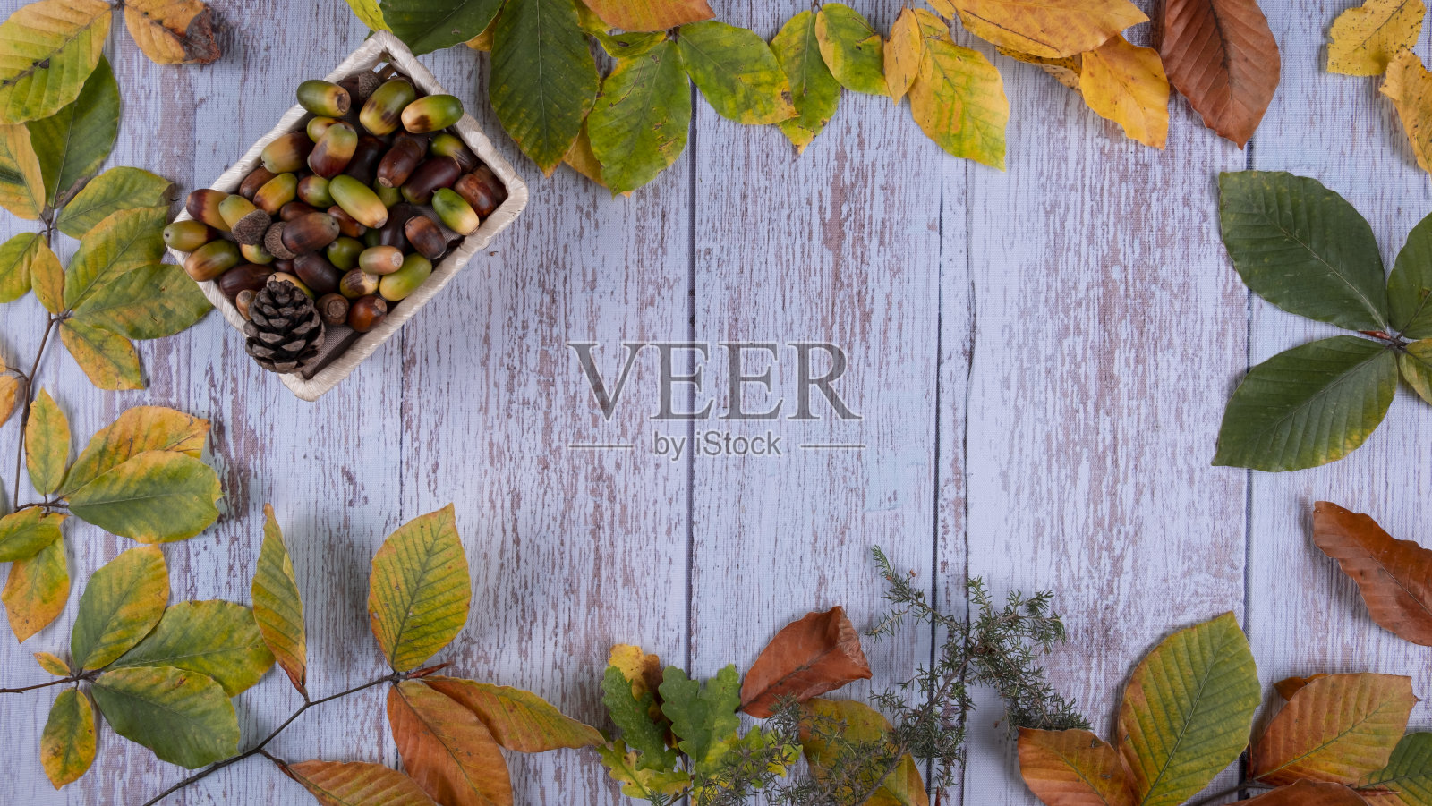 秋天照片摄影图片