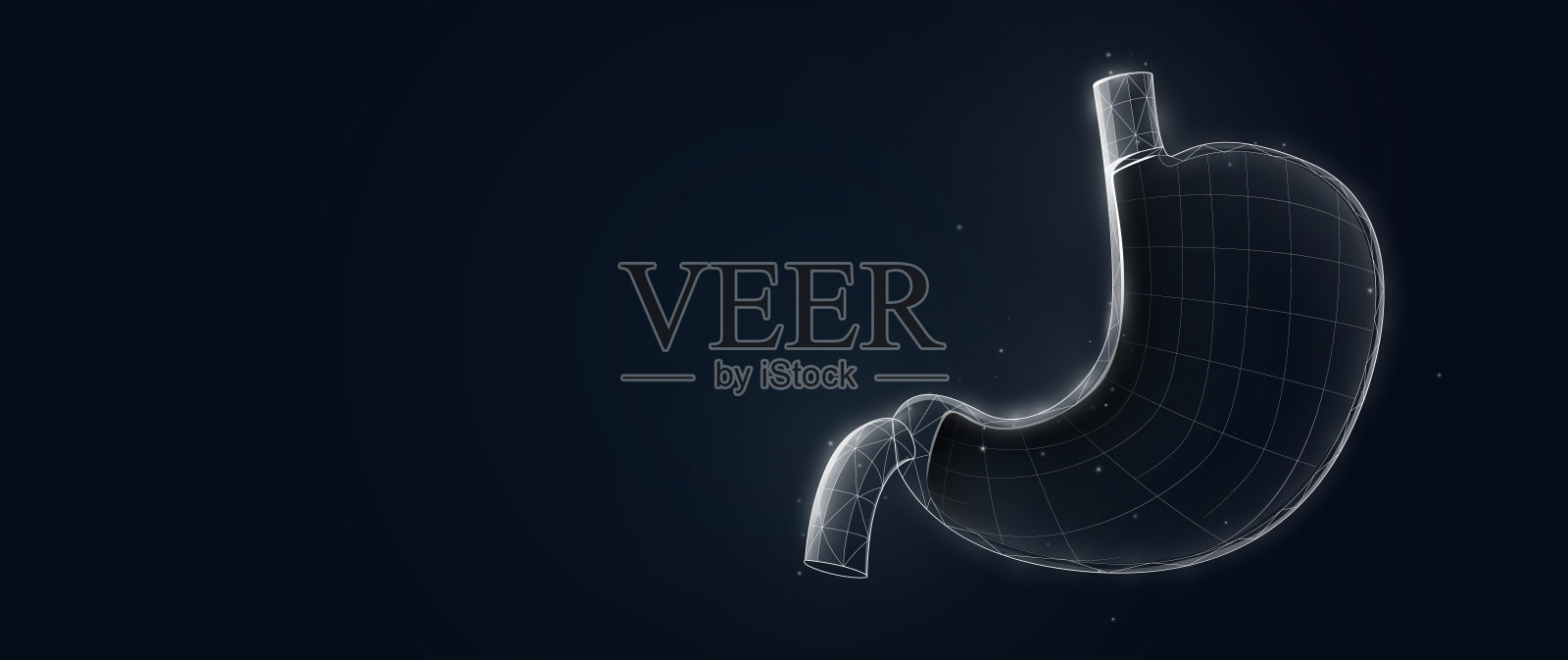 人类的胃。医疗保健。3d线框和低多边形设计。矢量图插画图片素材