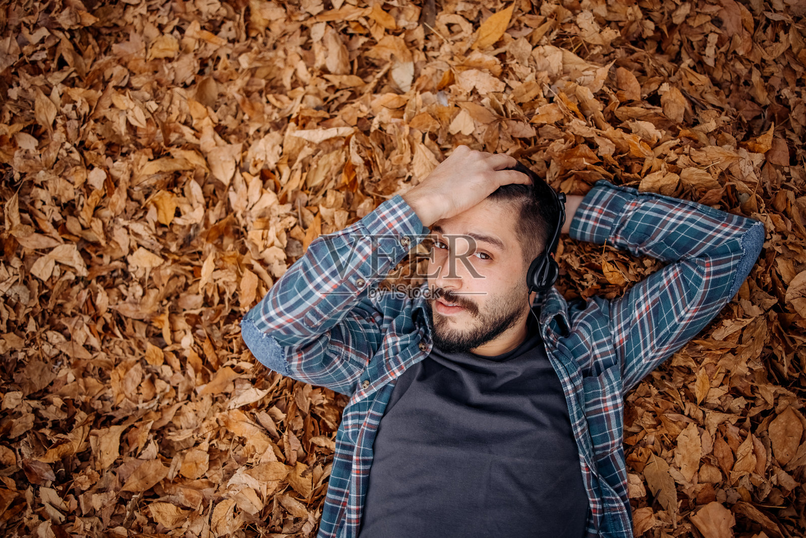 在树叶中享受照片摄影图片